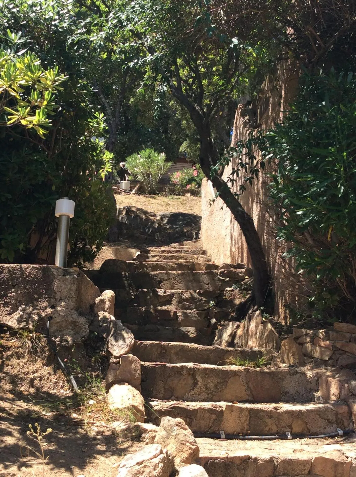 Garden view in Hotel Les Hauts de Porto-Vecchio