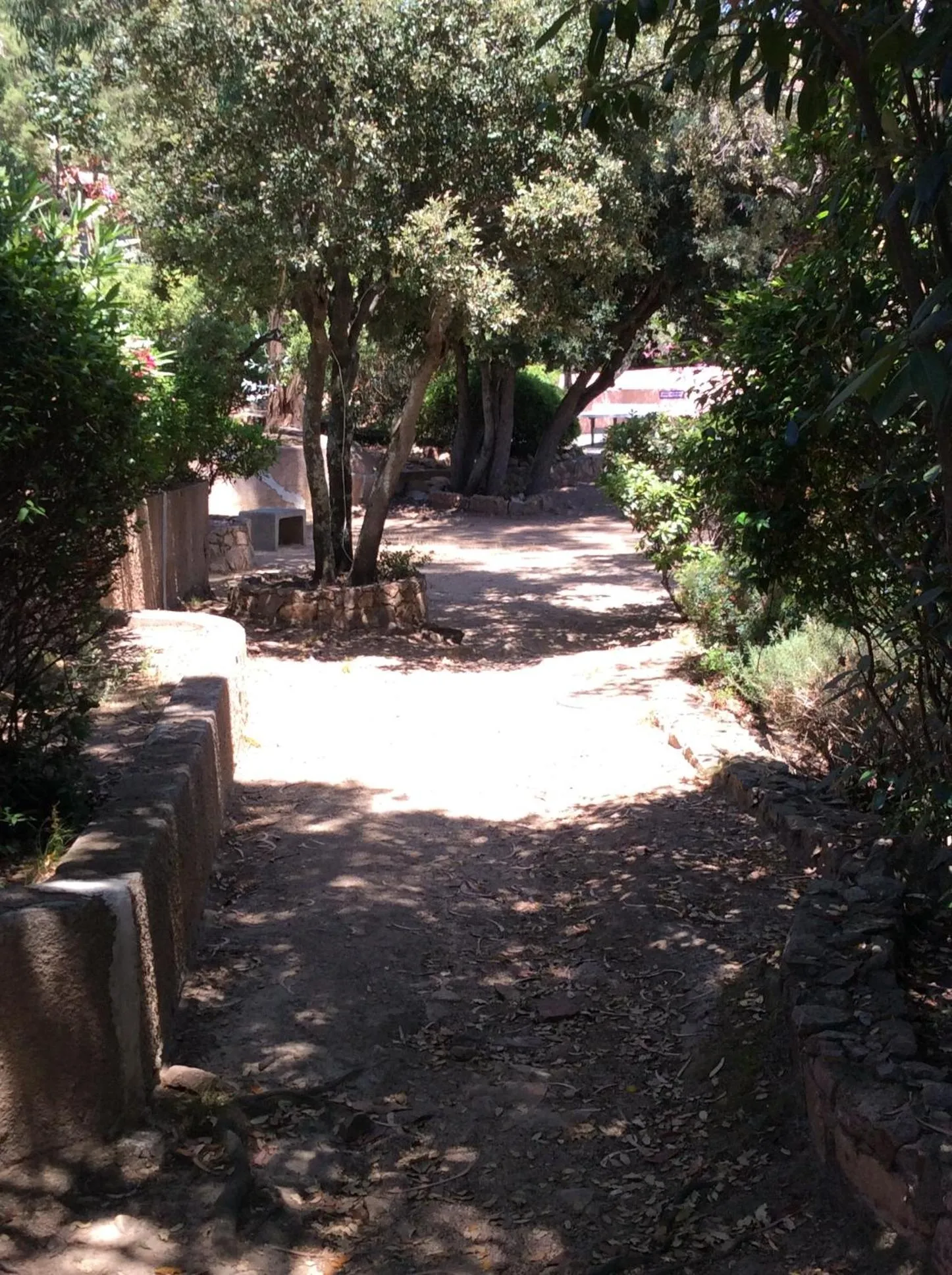 Garden view in Hotel Les Hauts de Porto-Vecchio