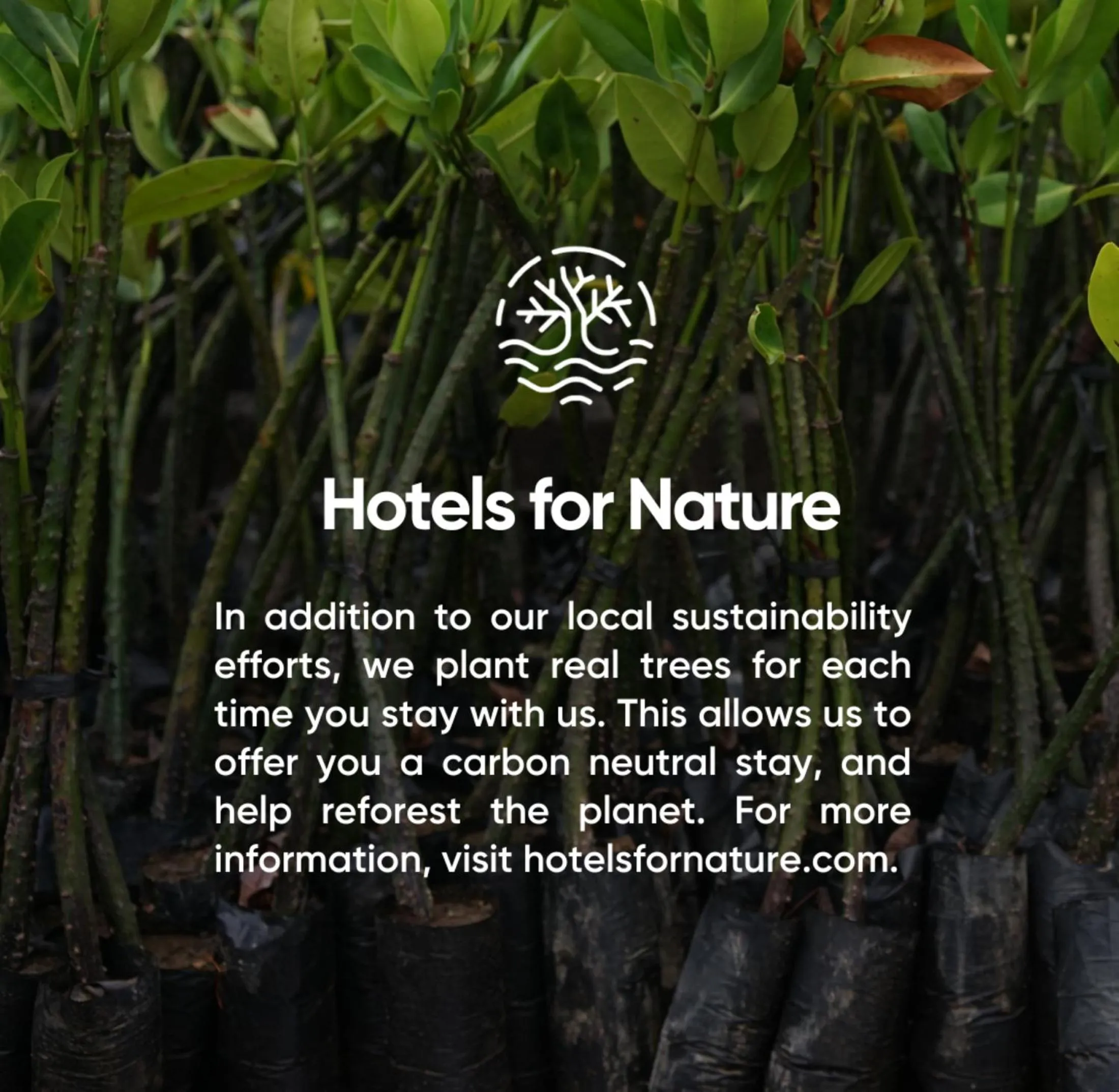 Property building in First Hotel Millennium