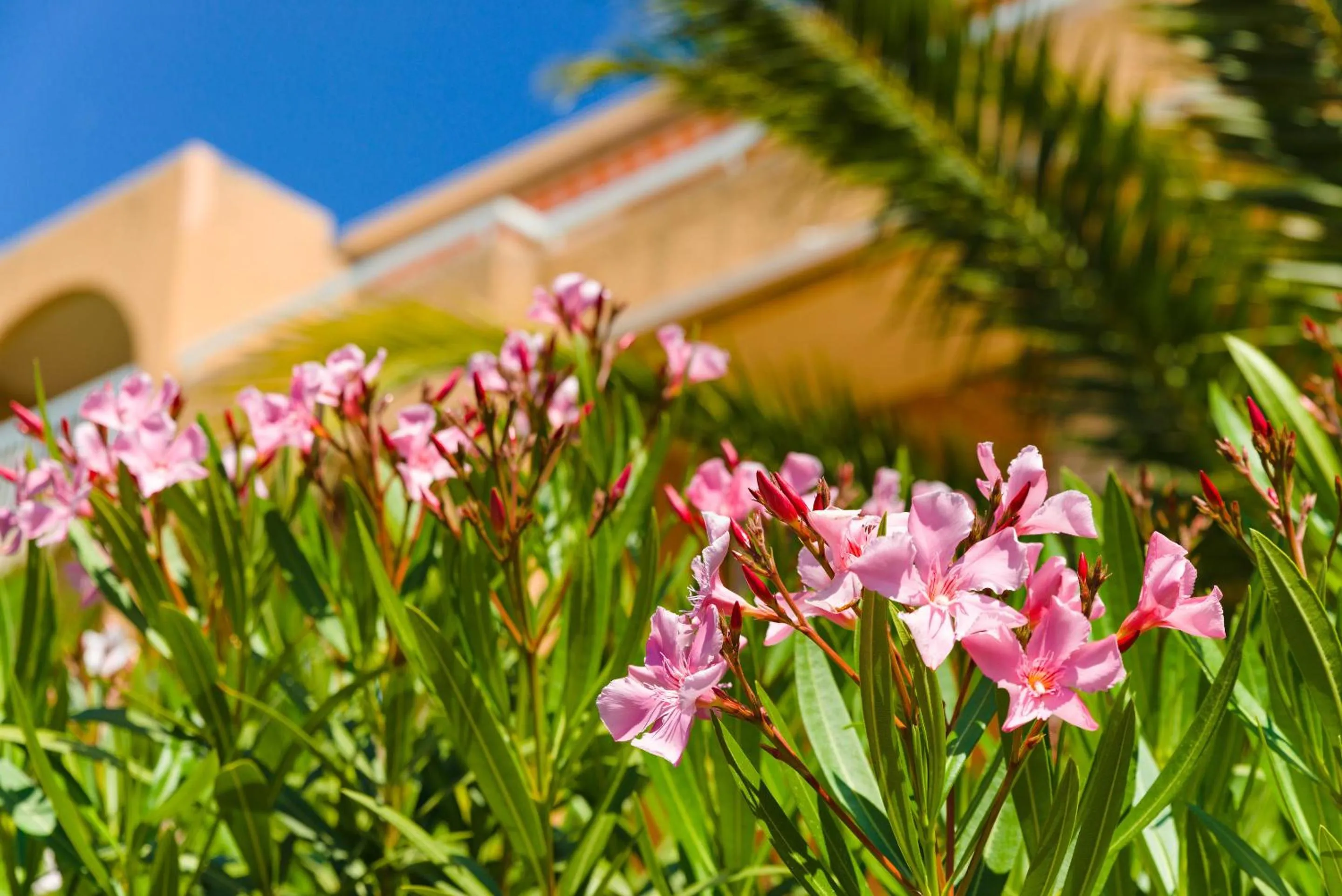 View (from property/room) in Lagrange Vacances Villa Barbara