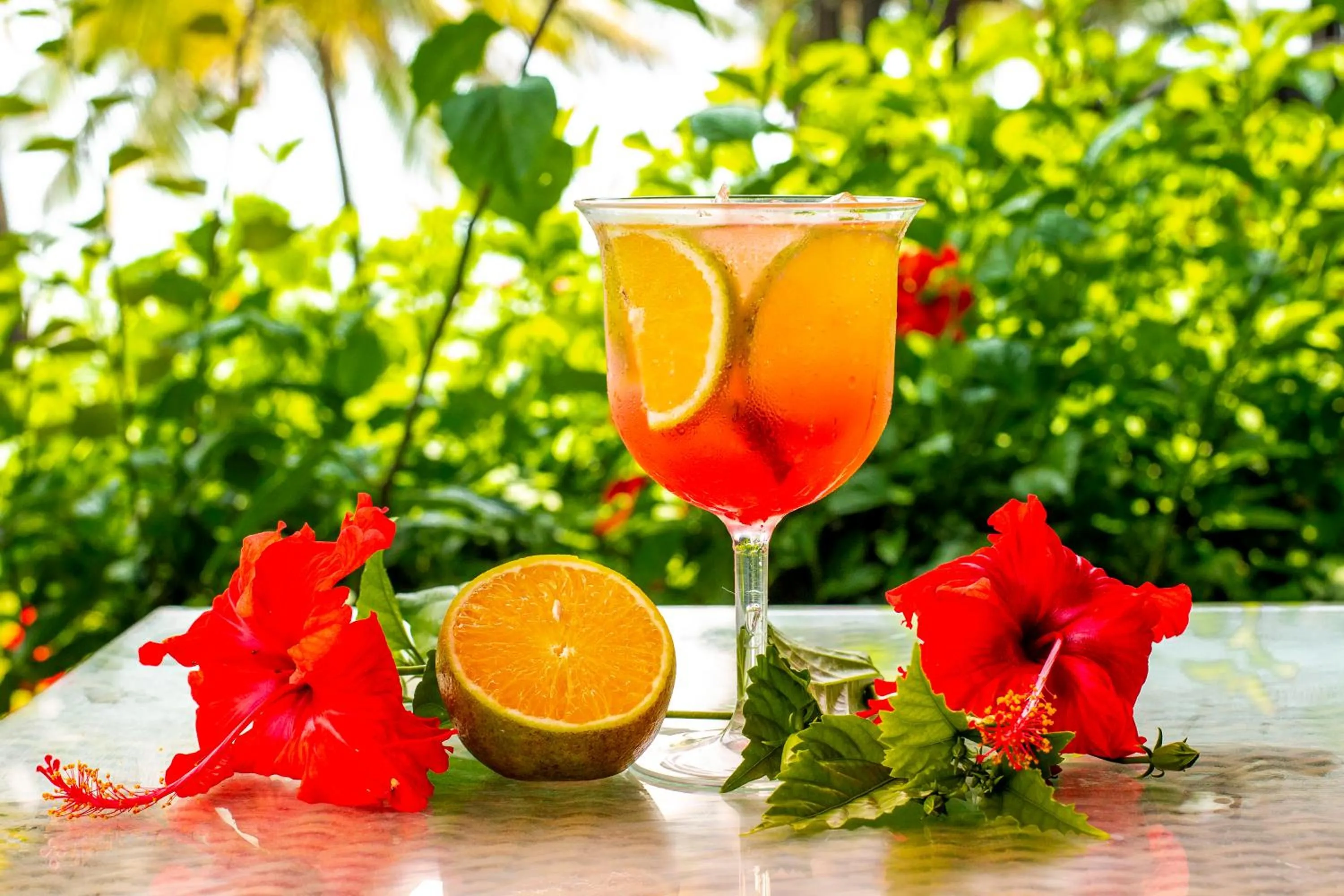 Lounge or bar in Serrambi Resort