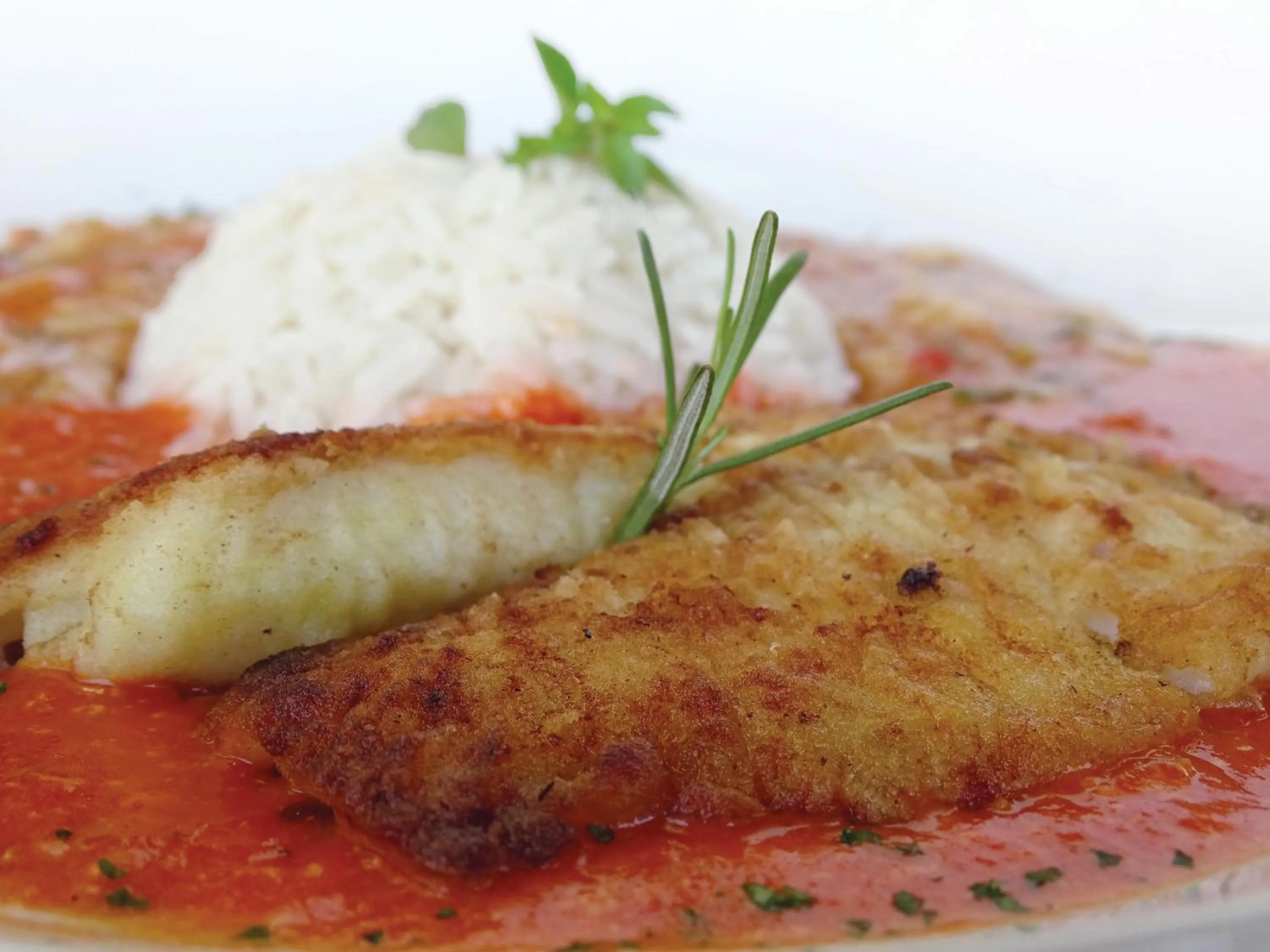 Food and drinks in Serrambi Resort