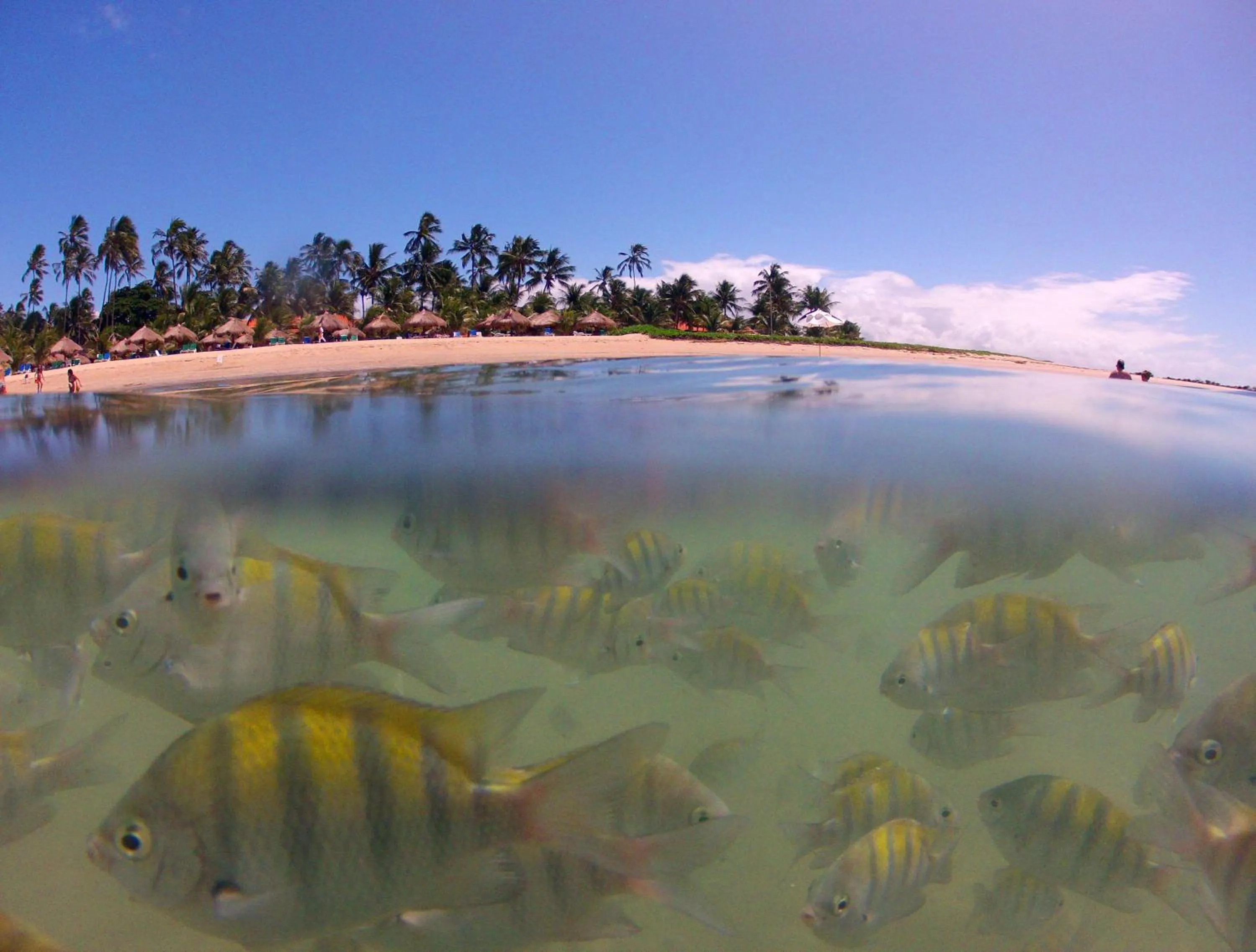 Area and facilities in Serrambi Resort