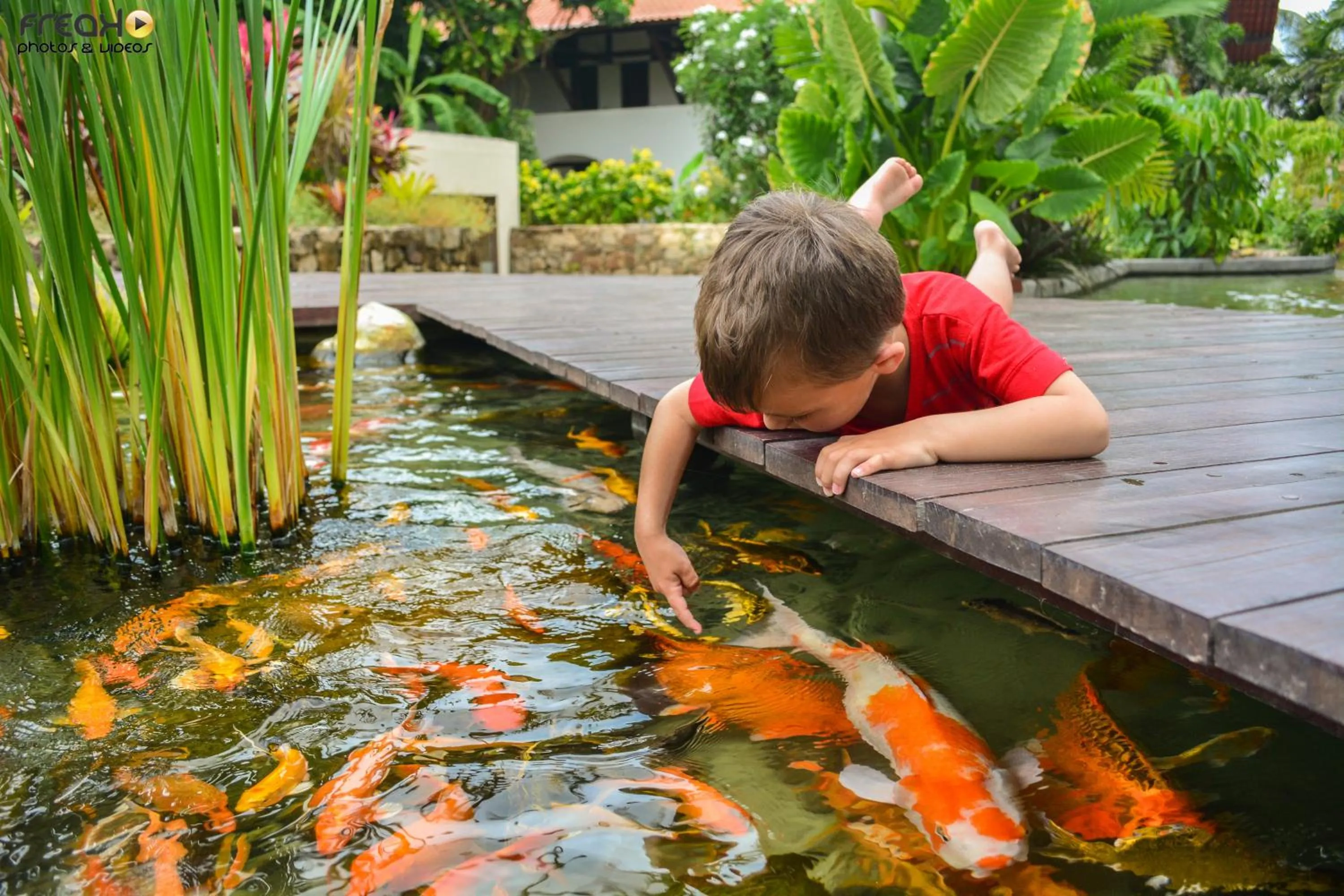 Day in Serrambi Resort