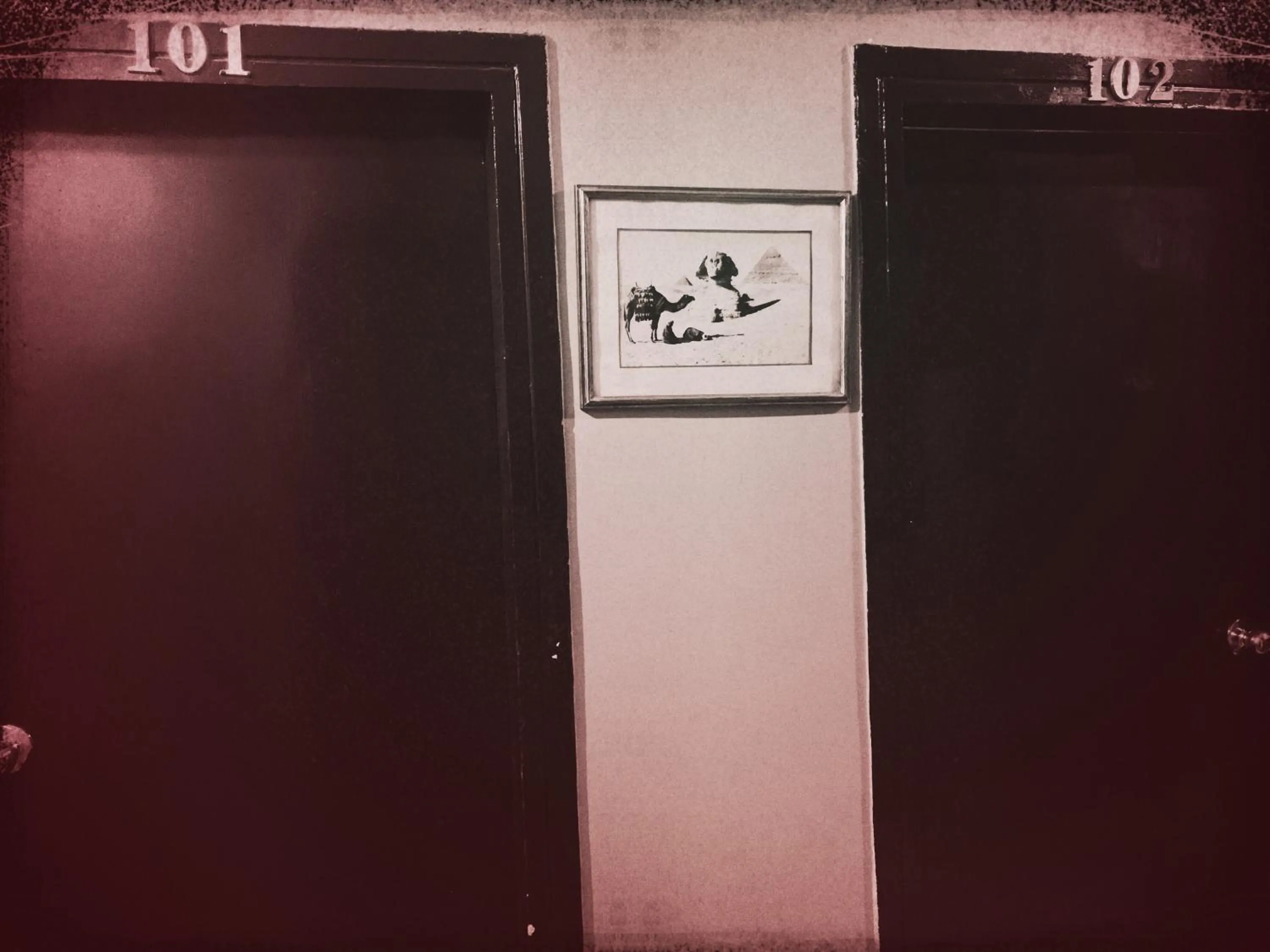 Wake Up! Cairo Hostel