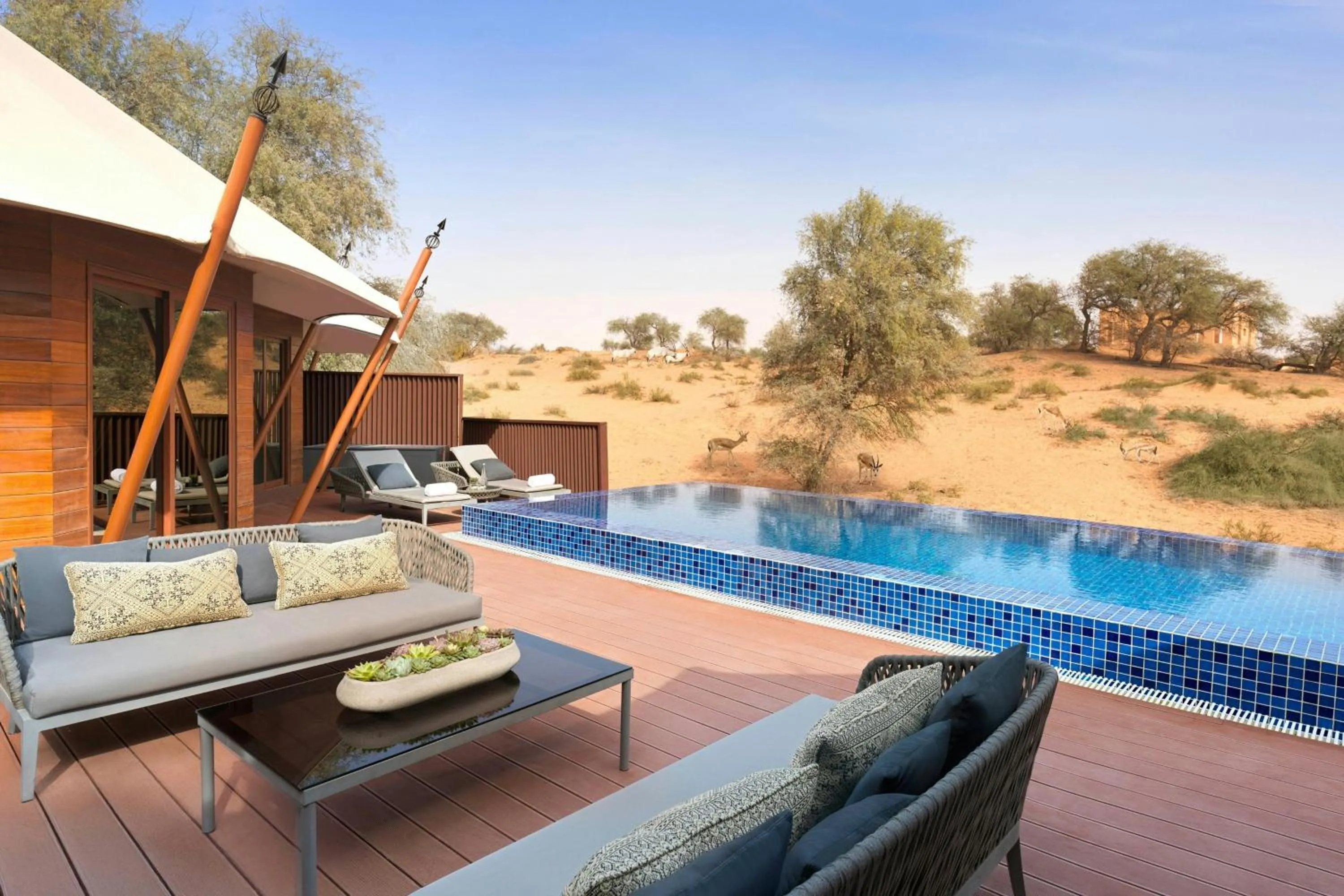 Swimming pool in The Ritz-Carlton Ras Al Khaimah, Al Wadi Desert