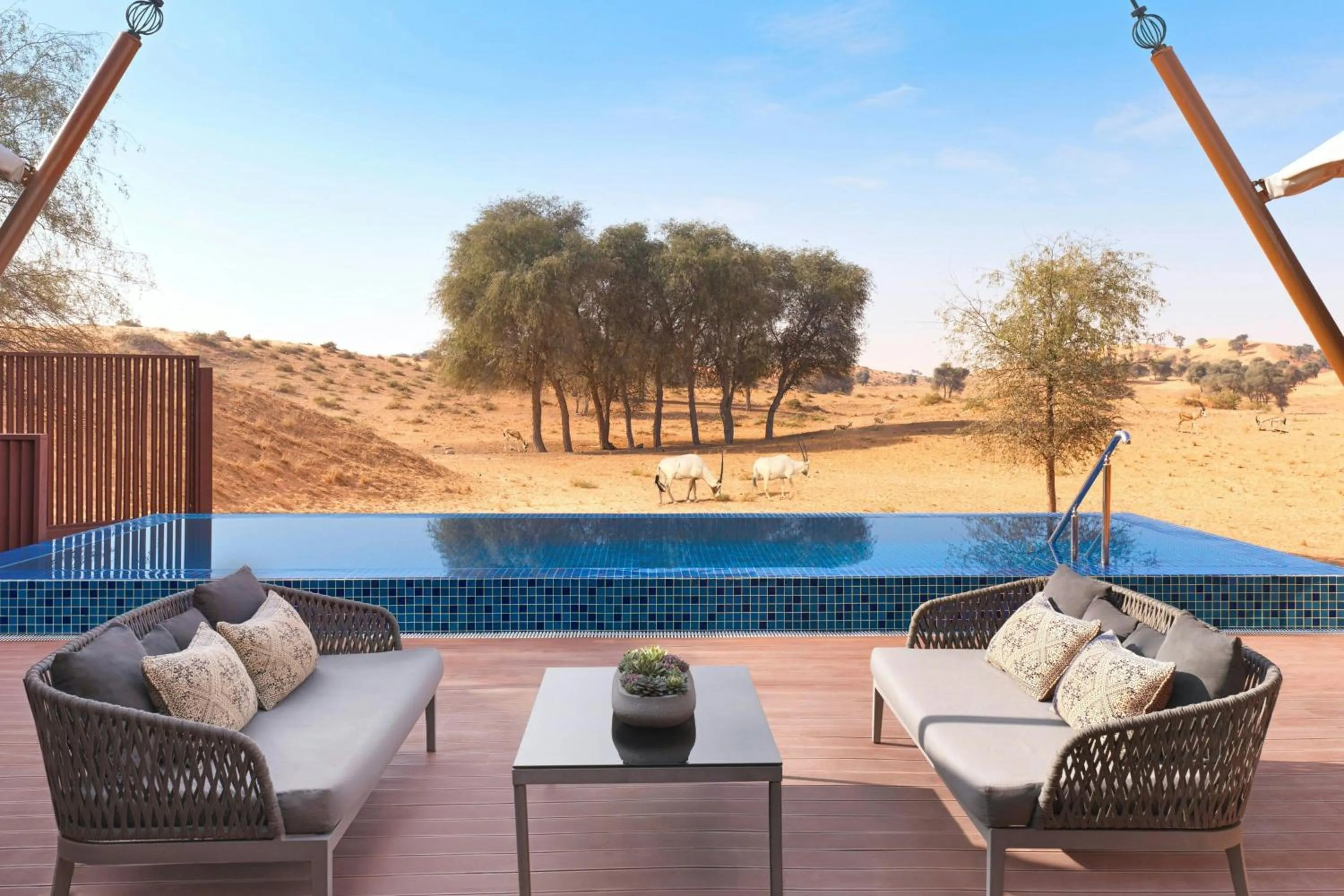 Property building in The Ritz-Carlton Ras Al Khaimah, Al Wadi Desert