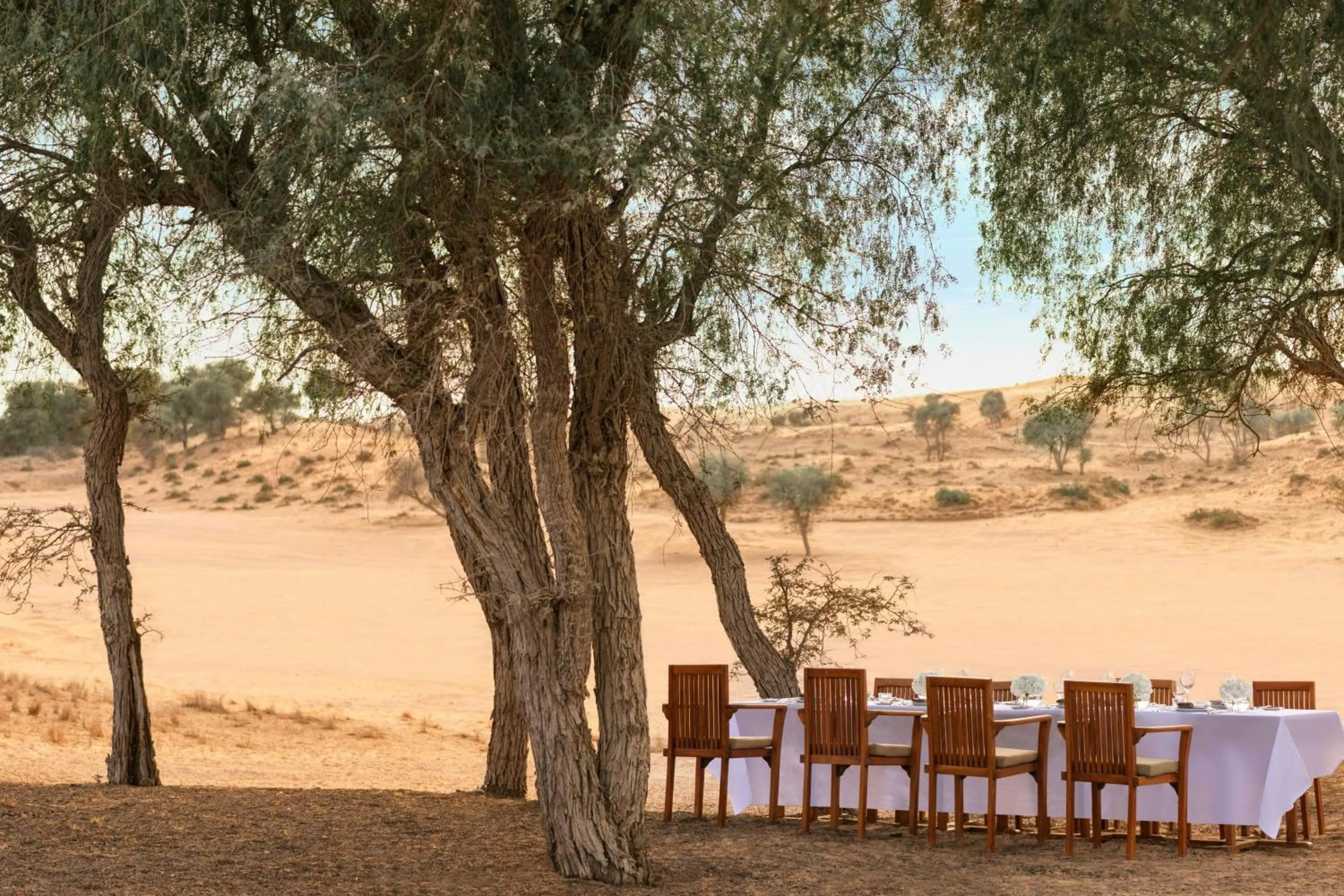 Restaurant/places to eat in The Ritz-Carlton Ras Al Khaimah, Al Wadi Desert