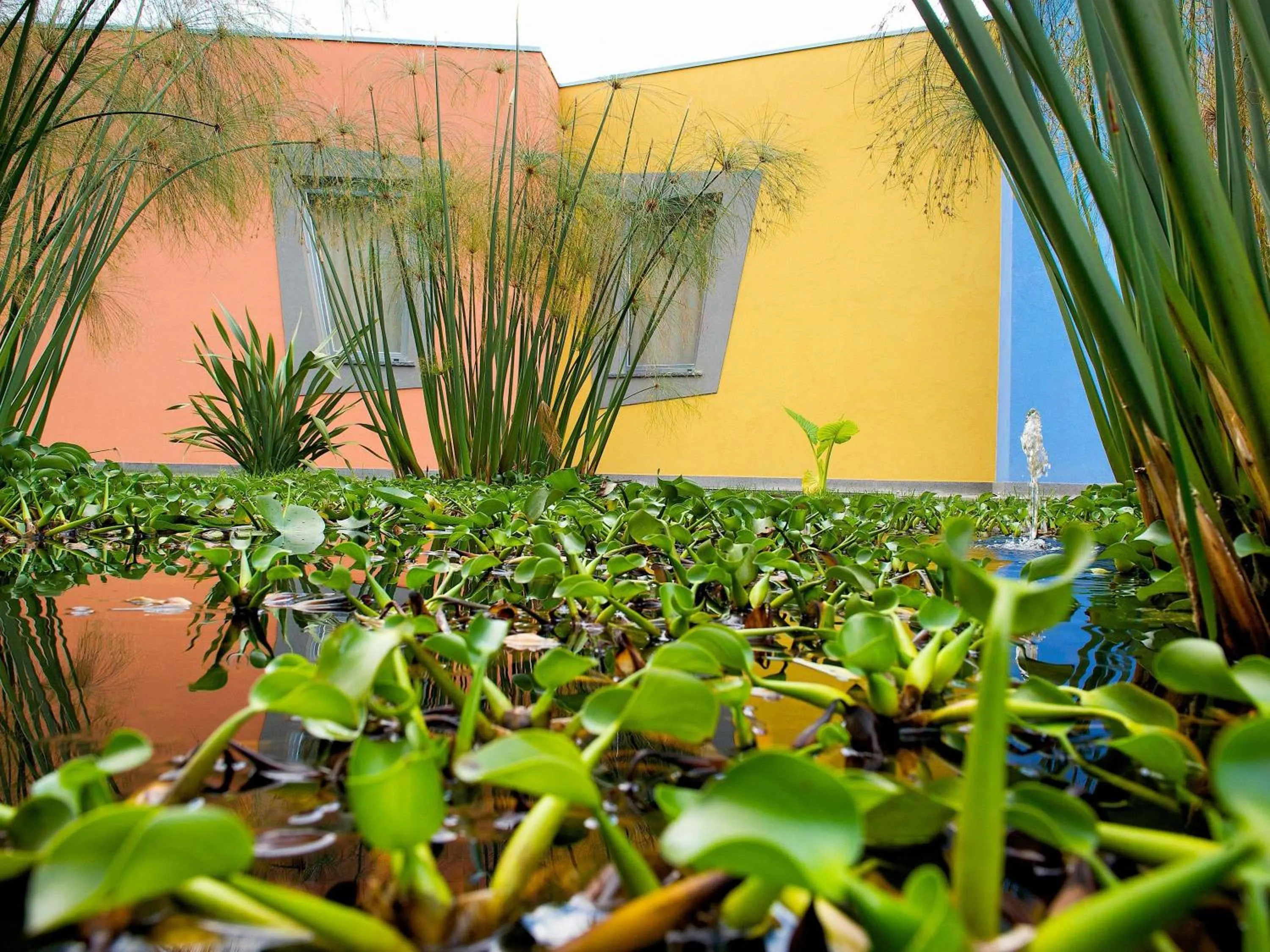 Other in ibis Styles Catania Acireale