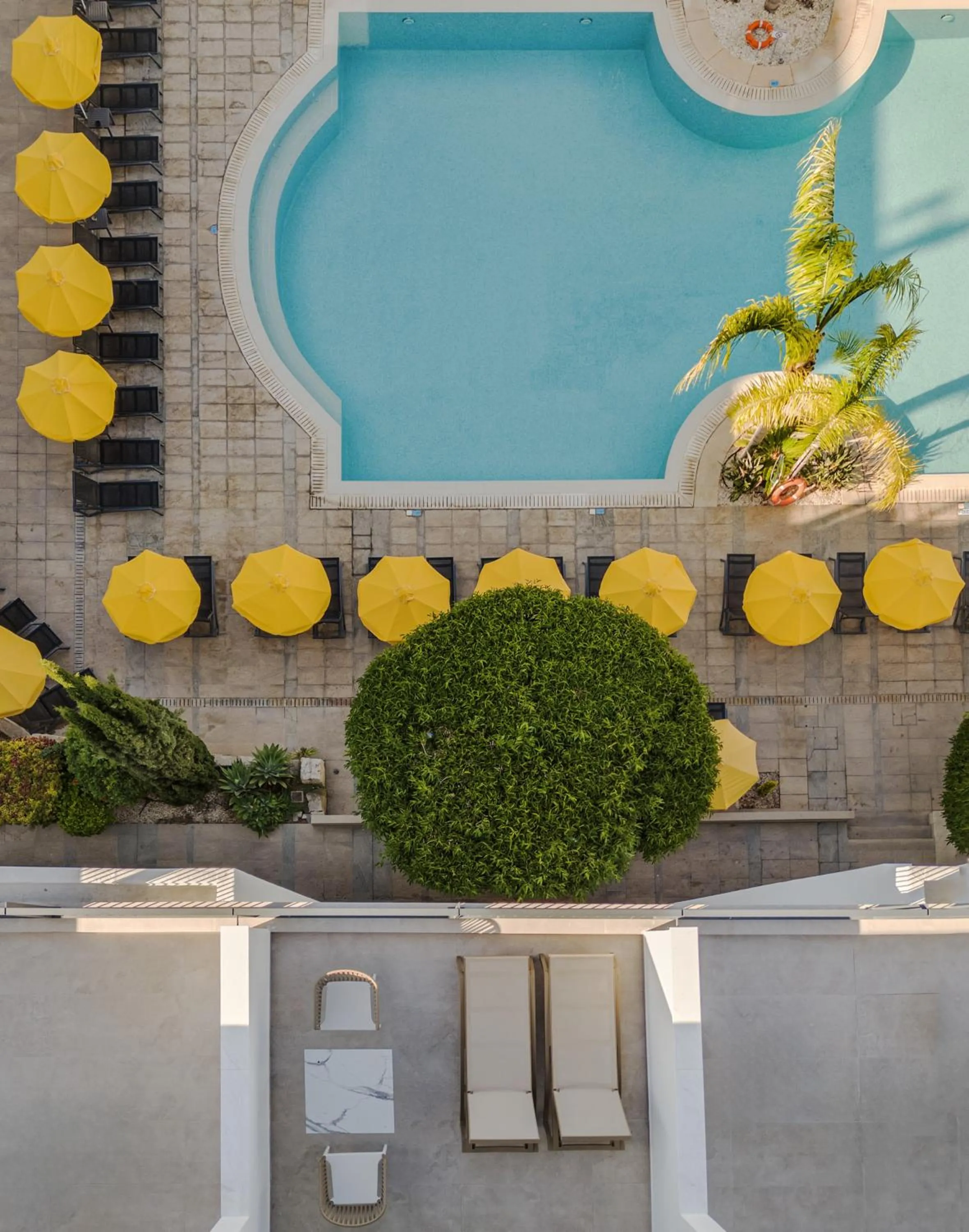 Swimming pool in Mayfair Hotel