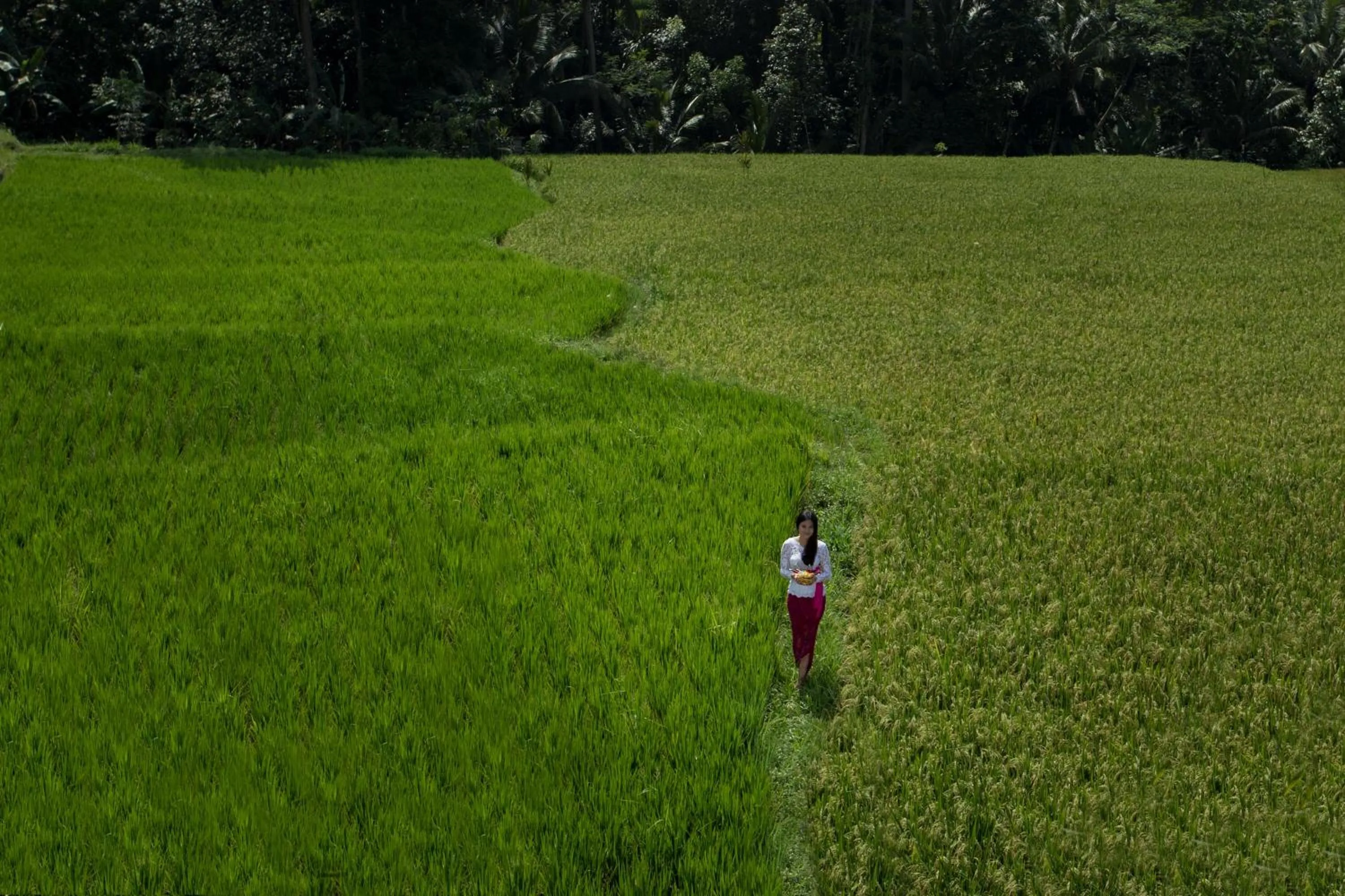 View (from property/room) in Alosta Luxury Private Villa