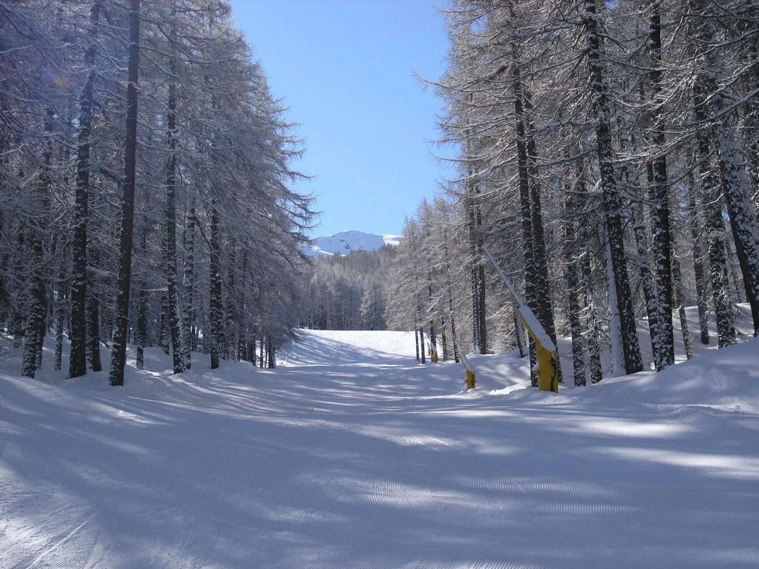 Area and facilities in Hotel Martin