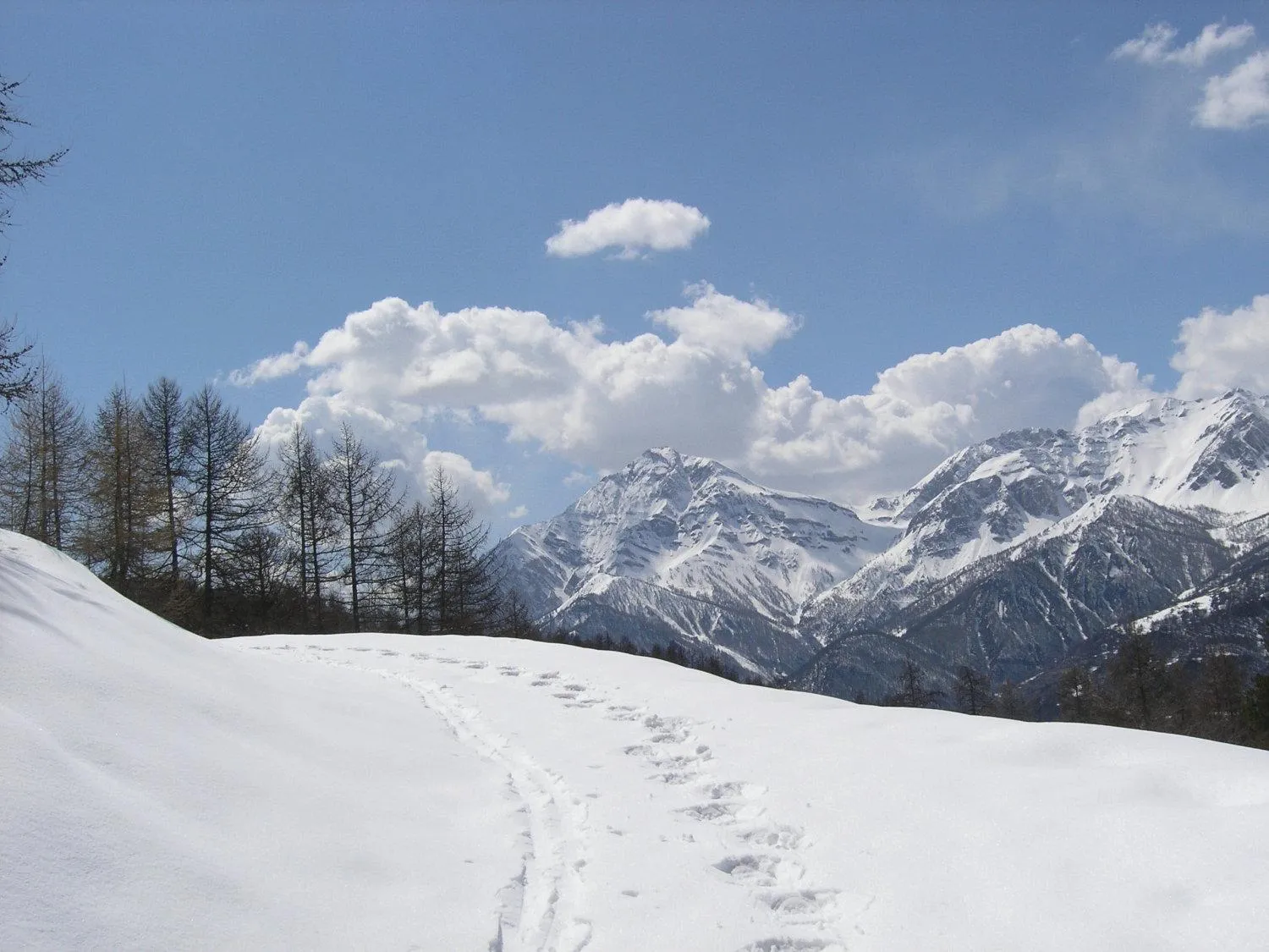 Area and facilities in Hotel Martin