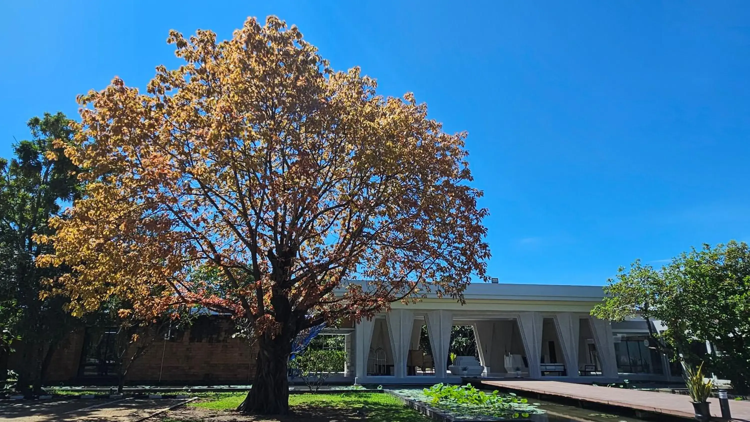 Lobby or reception in Sukhothai Treasure Resort & Spa Lobby or reception in Sukhothai Treasure Resort & Spa