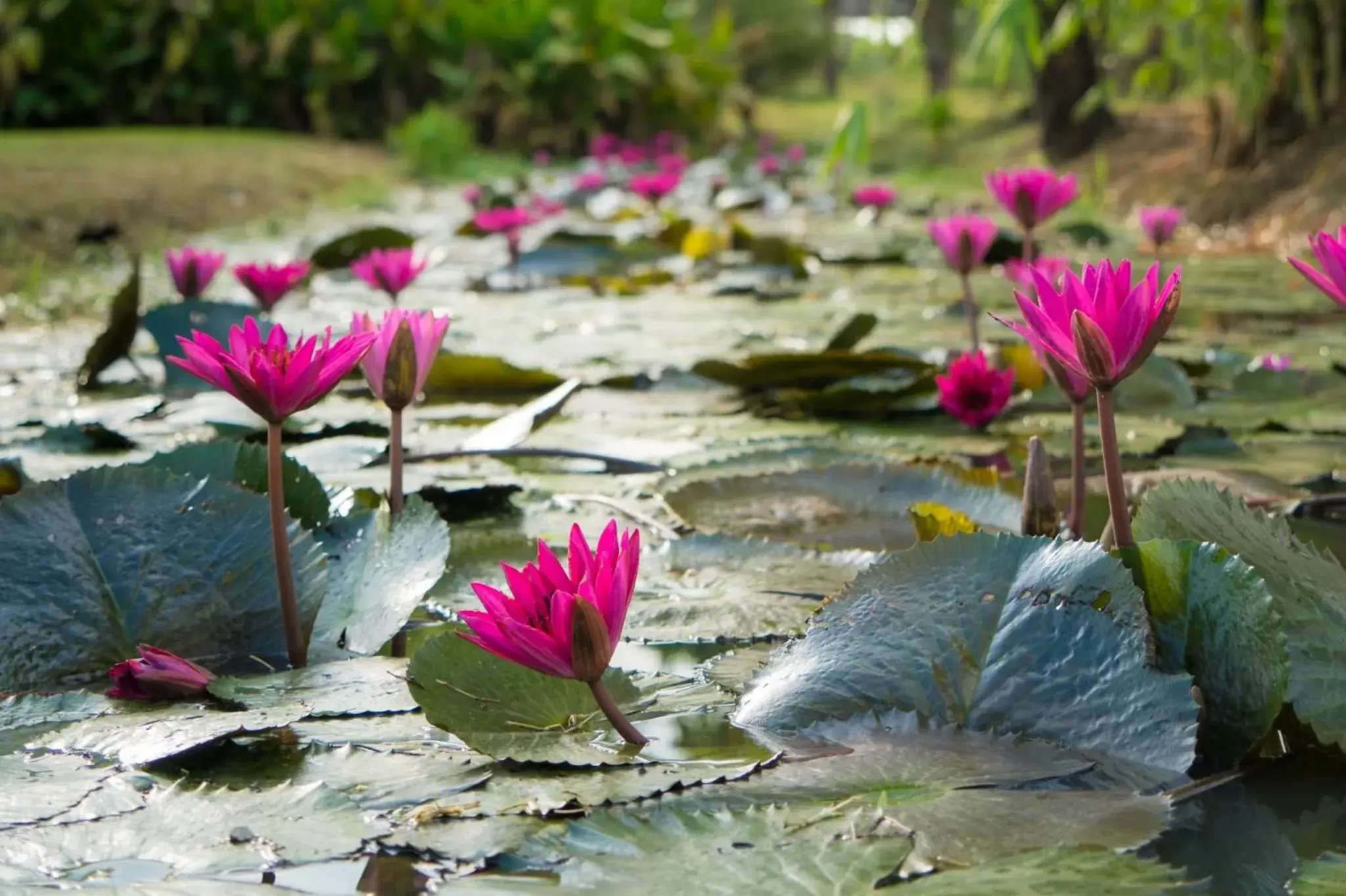 Property building in Sukhothai Treasure Resort & Spa Property building in Sukhothai Treasure Resort & Spa