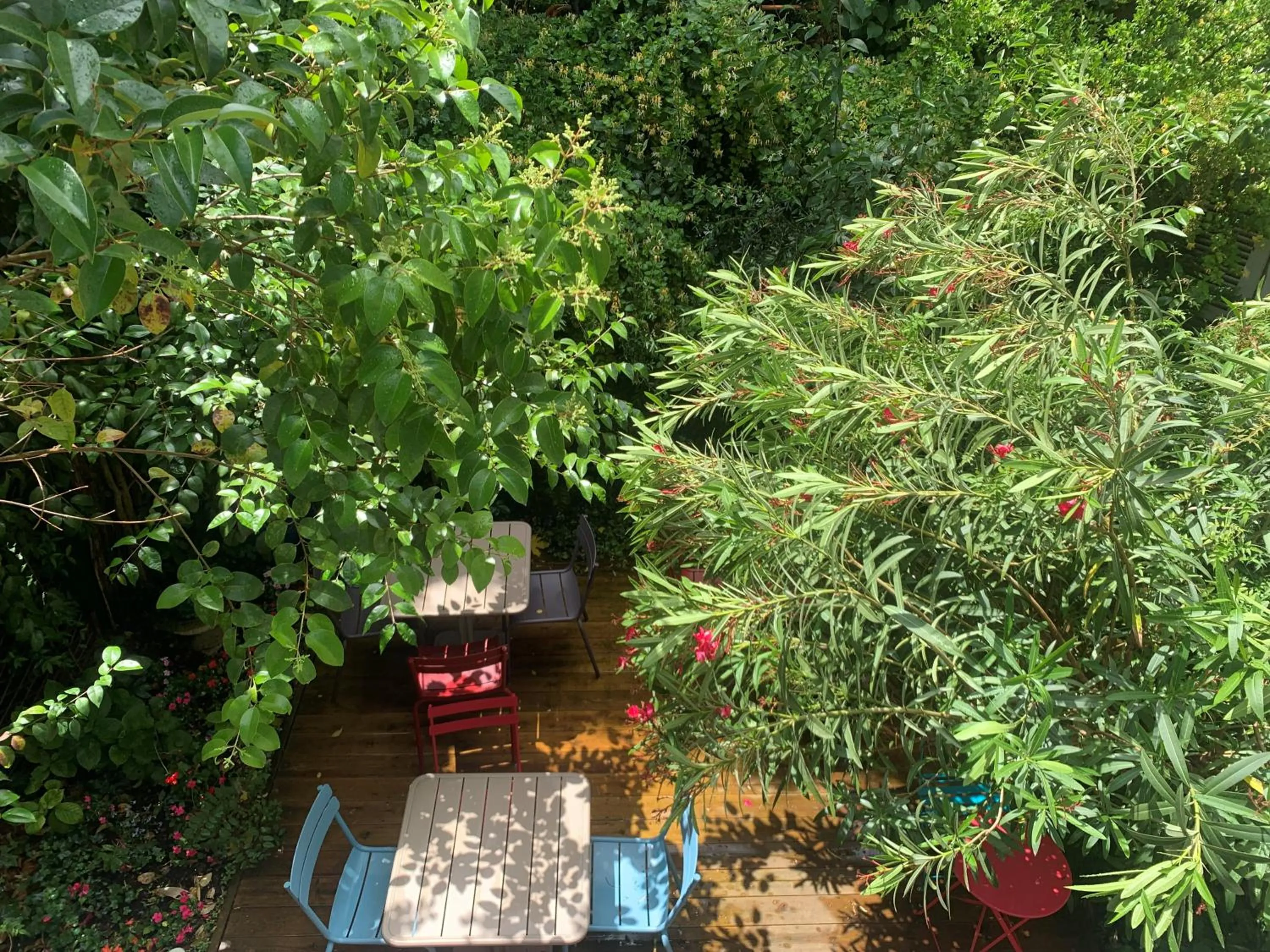 Patio in Hotel Mirabeau