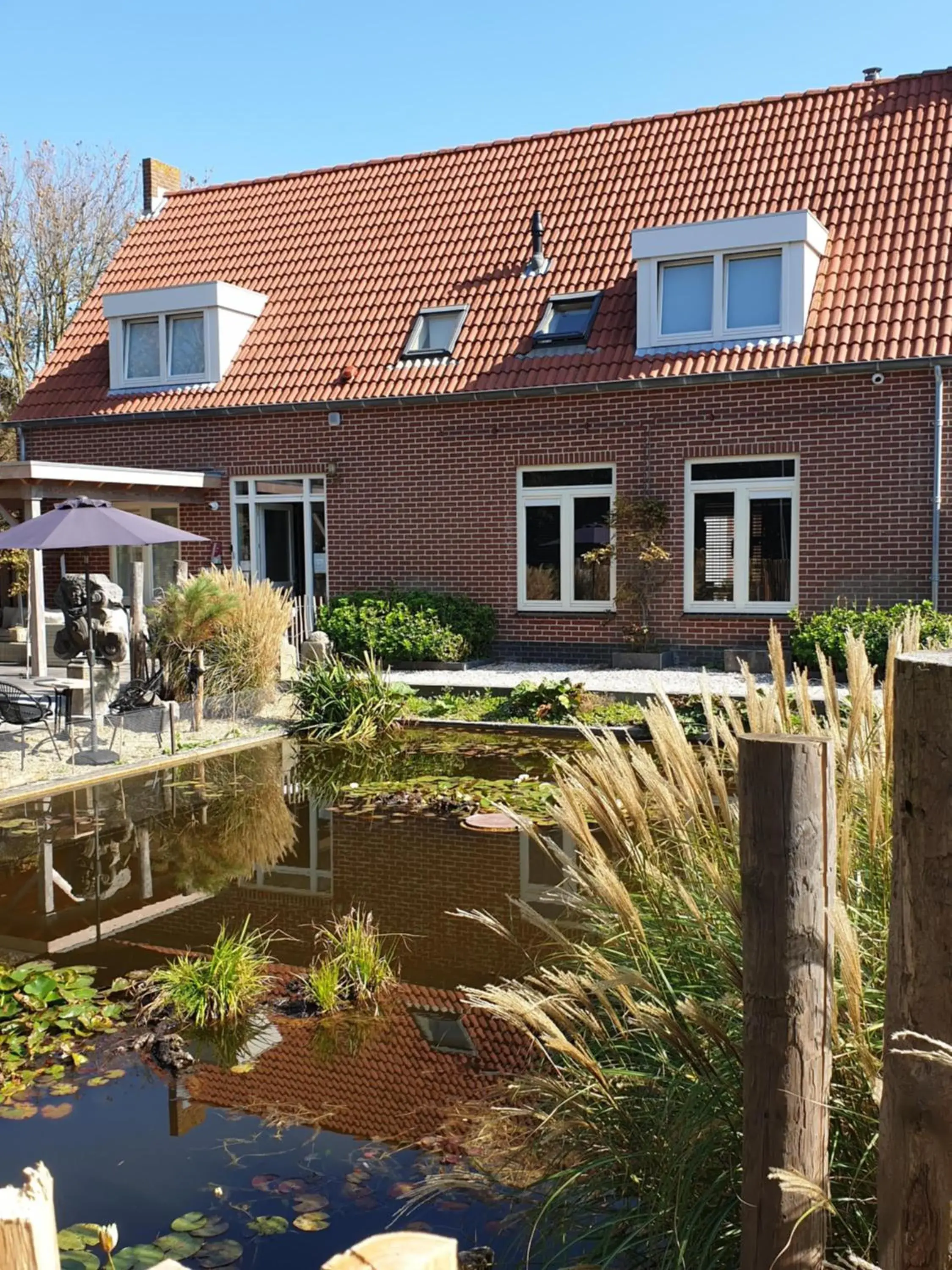 Het Pauwtje Het Pauwtje
