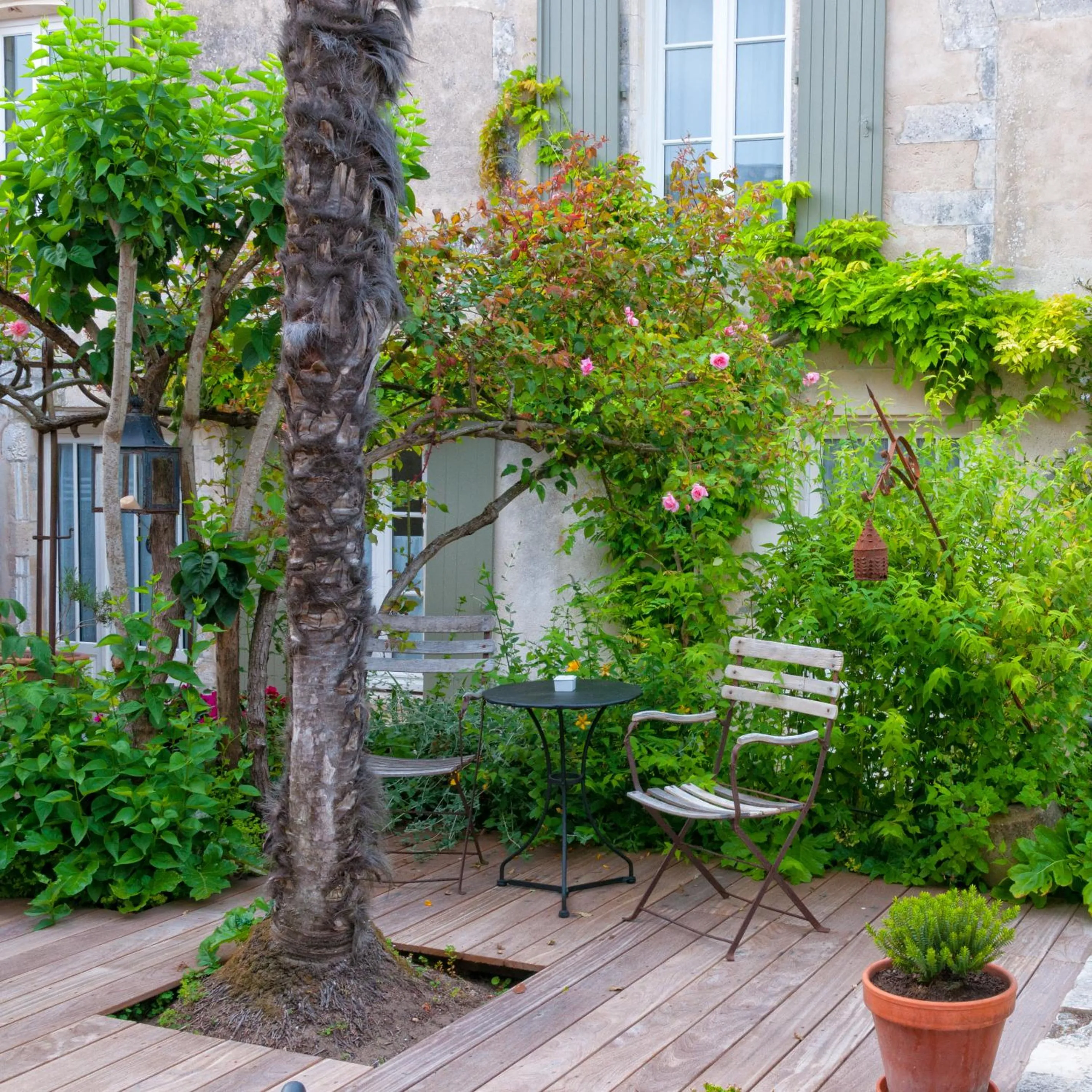 Garden in La Maison Douce