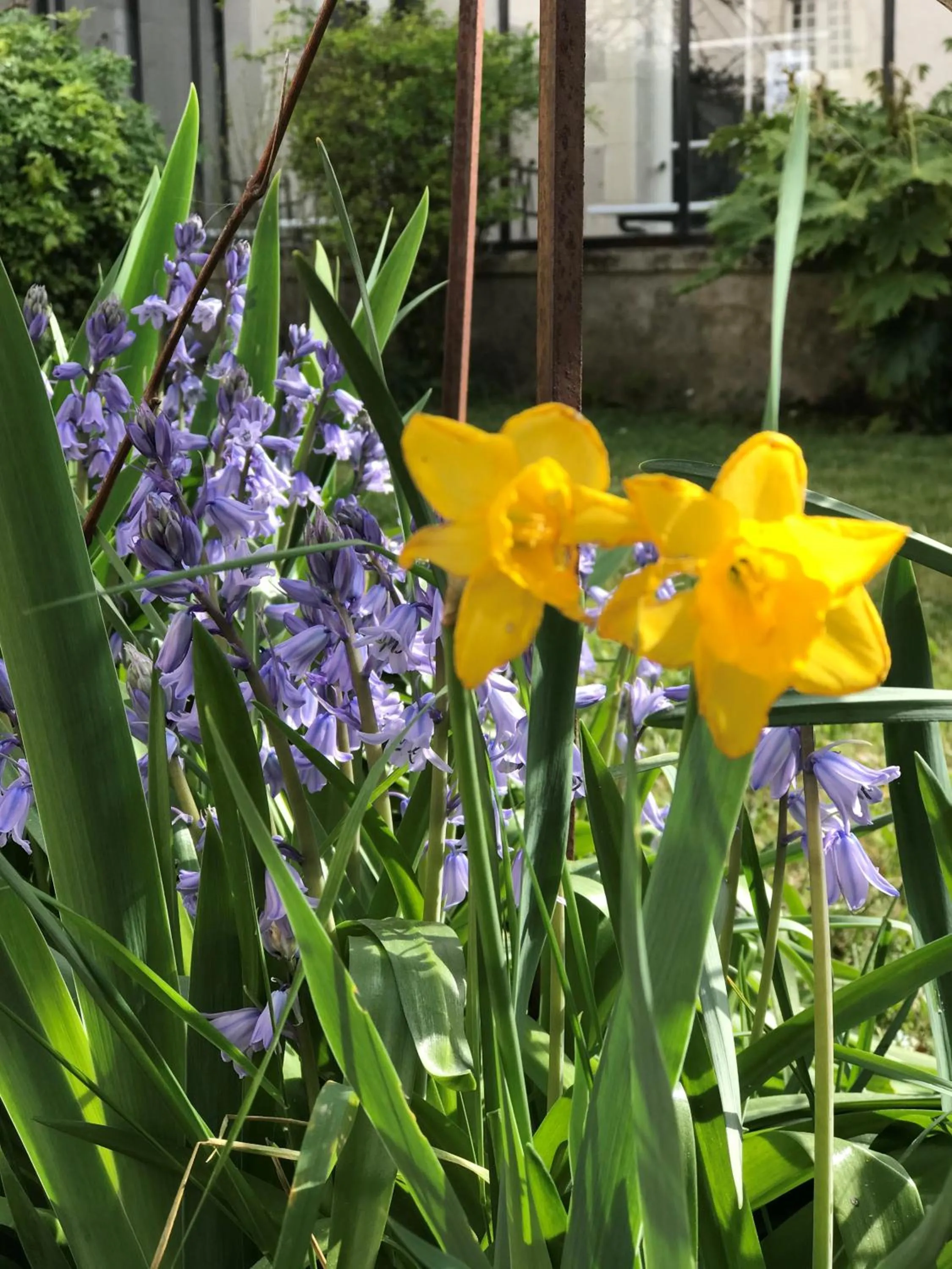 Garden in La Maison Douce