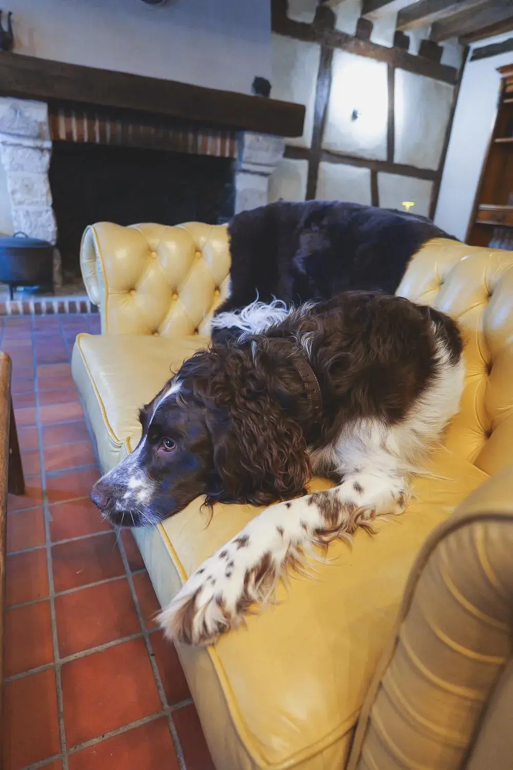 Living room in Auberge Du Cheval Blanc - Teritoria Living room in Auberge Du Cheval Blanc - Teritoria