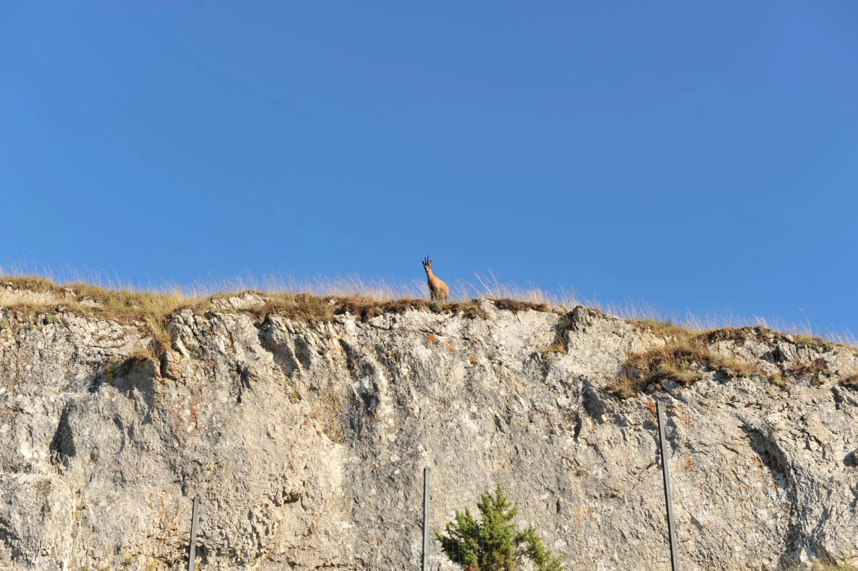 Area and facilities in Robur Marsorum Albergo Diffuso