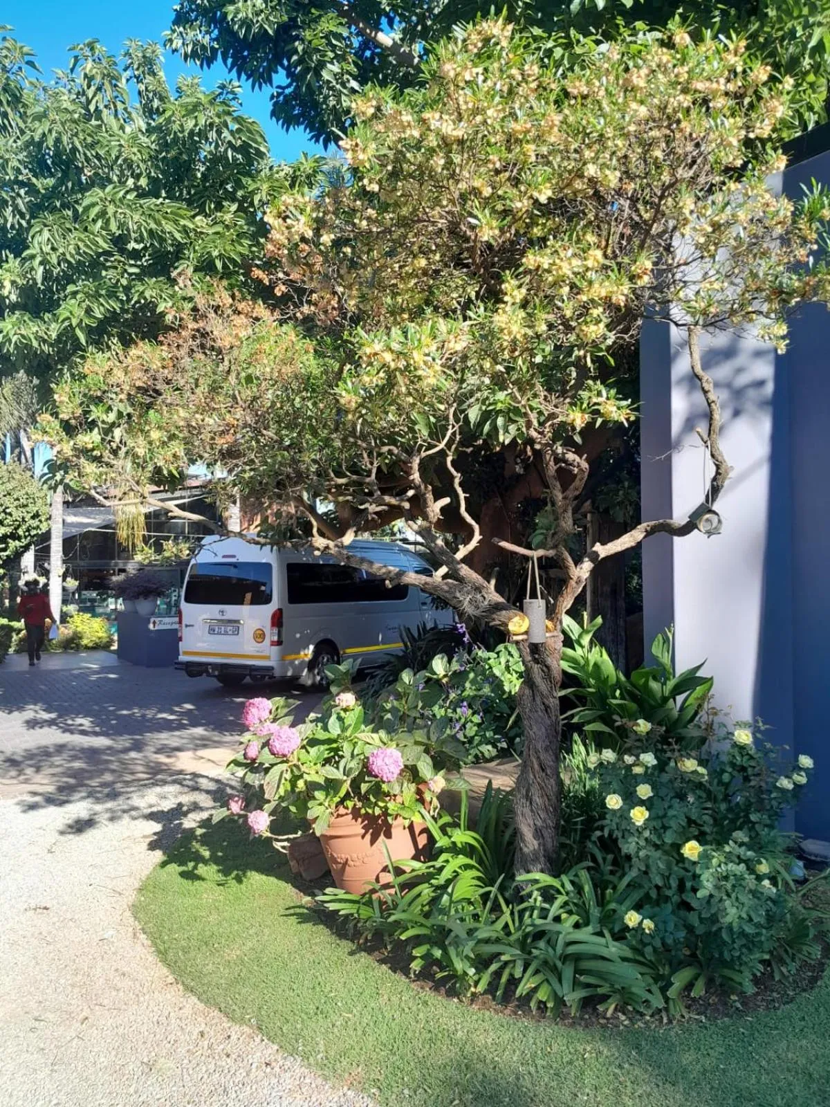 shuttle in Sunrock Guesthouse