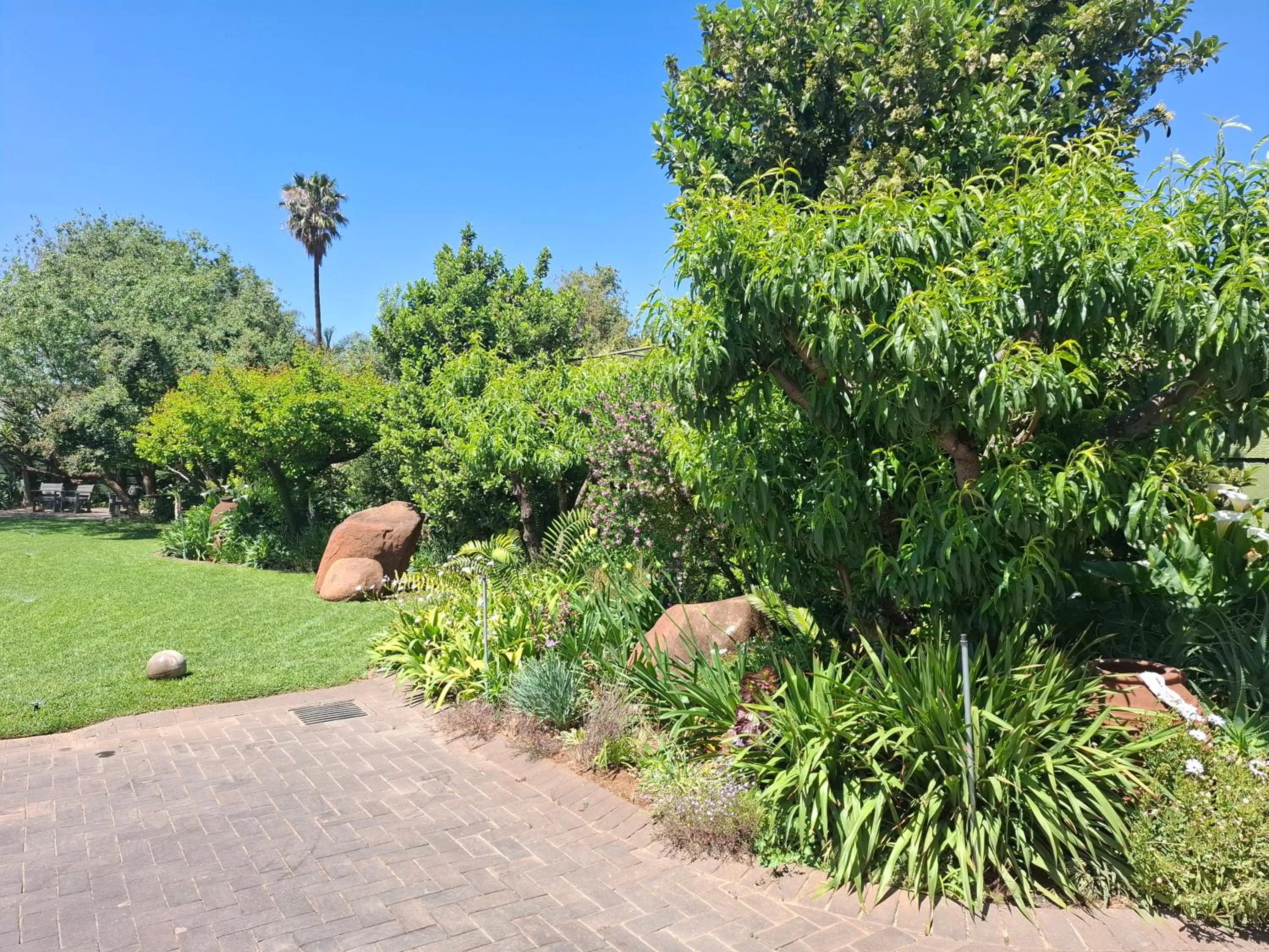 Garden view in Sunrock Guesthouse