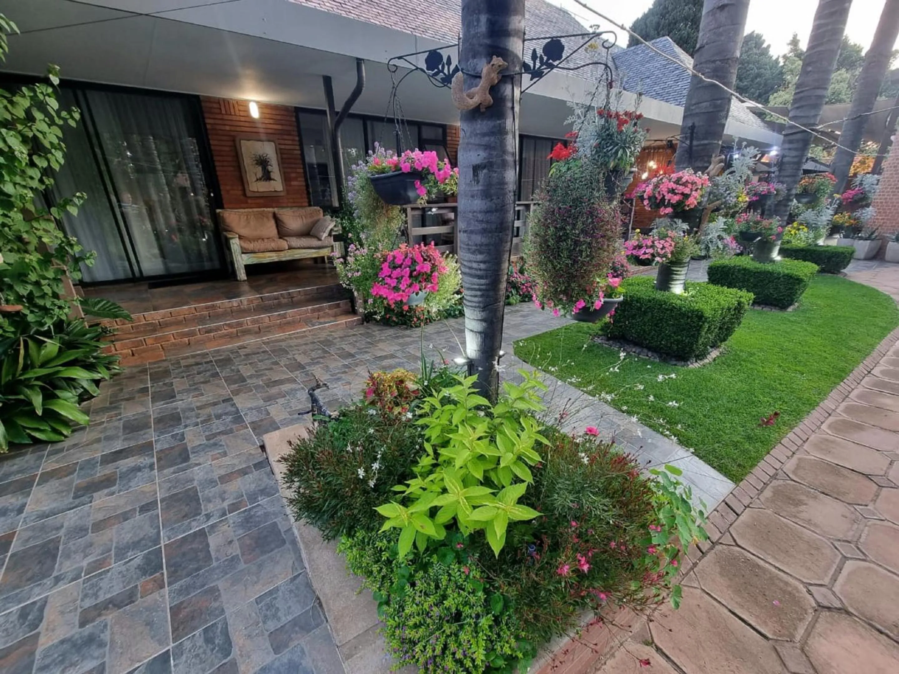 Garden in Sunrock Guesthouse