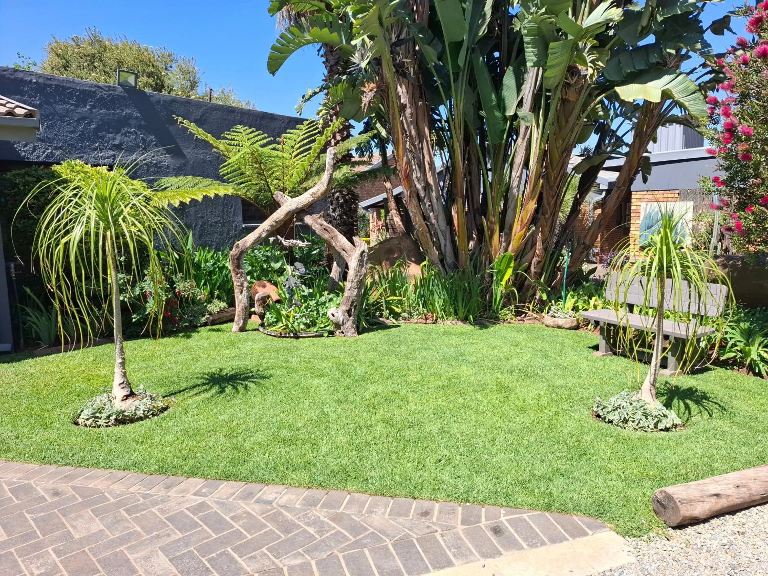 Garden view in Sunrock Guesthouse