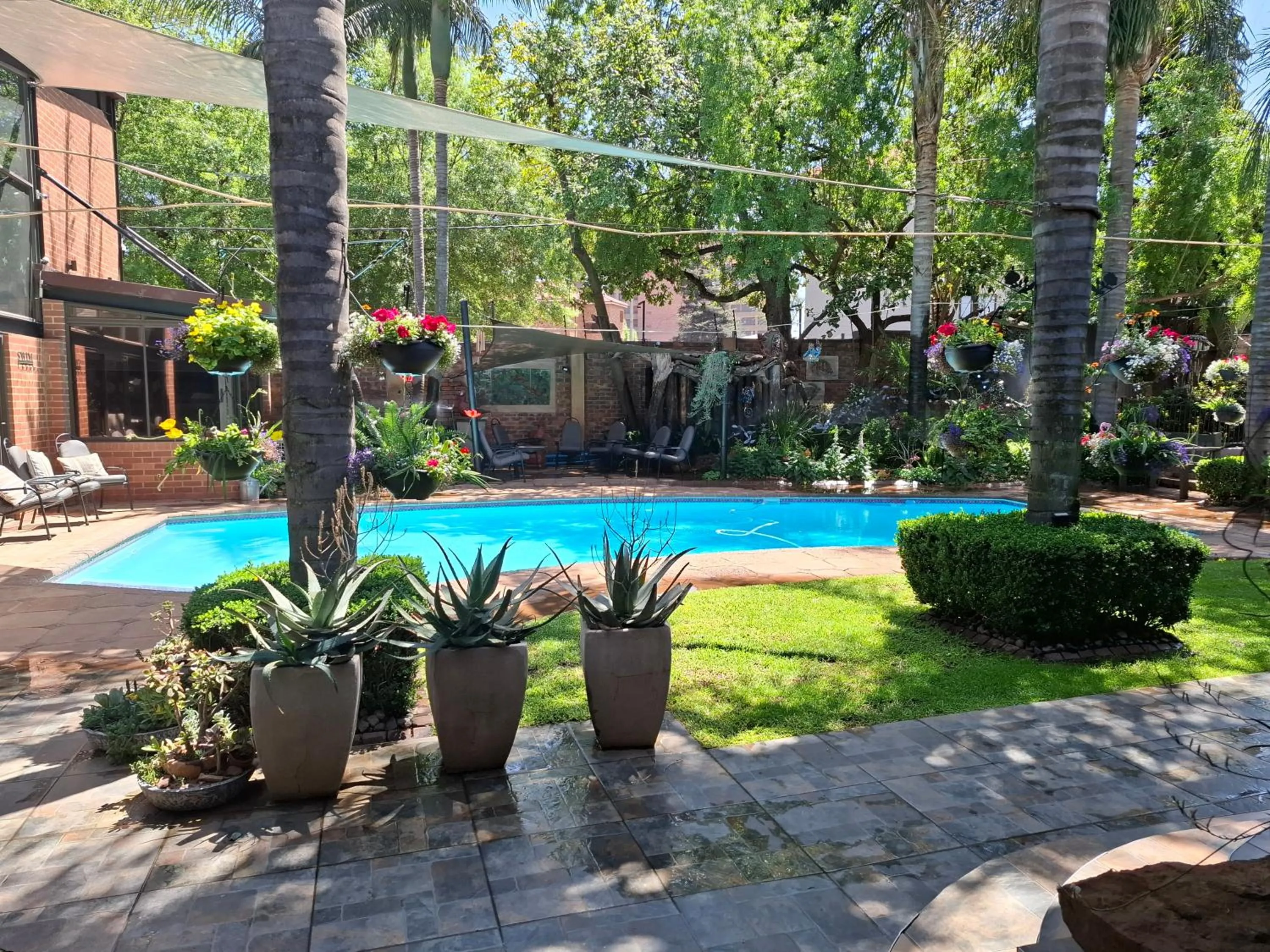 Swimming pool in Sunrock Guesthouse
