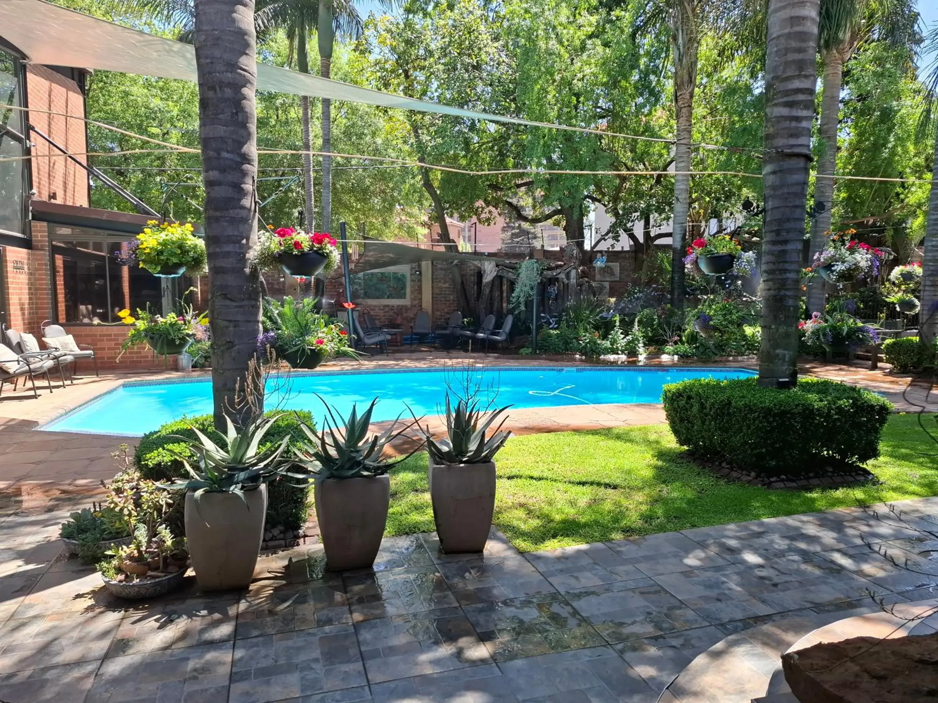 Swimming pool in Sunrock Guesthouse Swimming pool in Sunrock Guesthouse