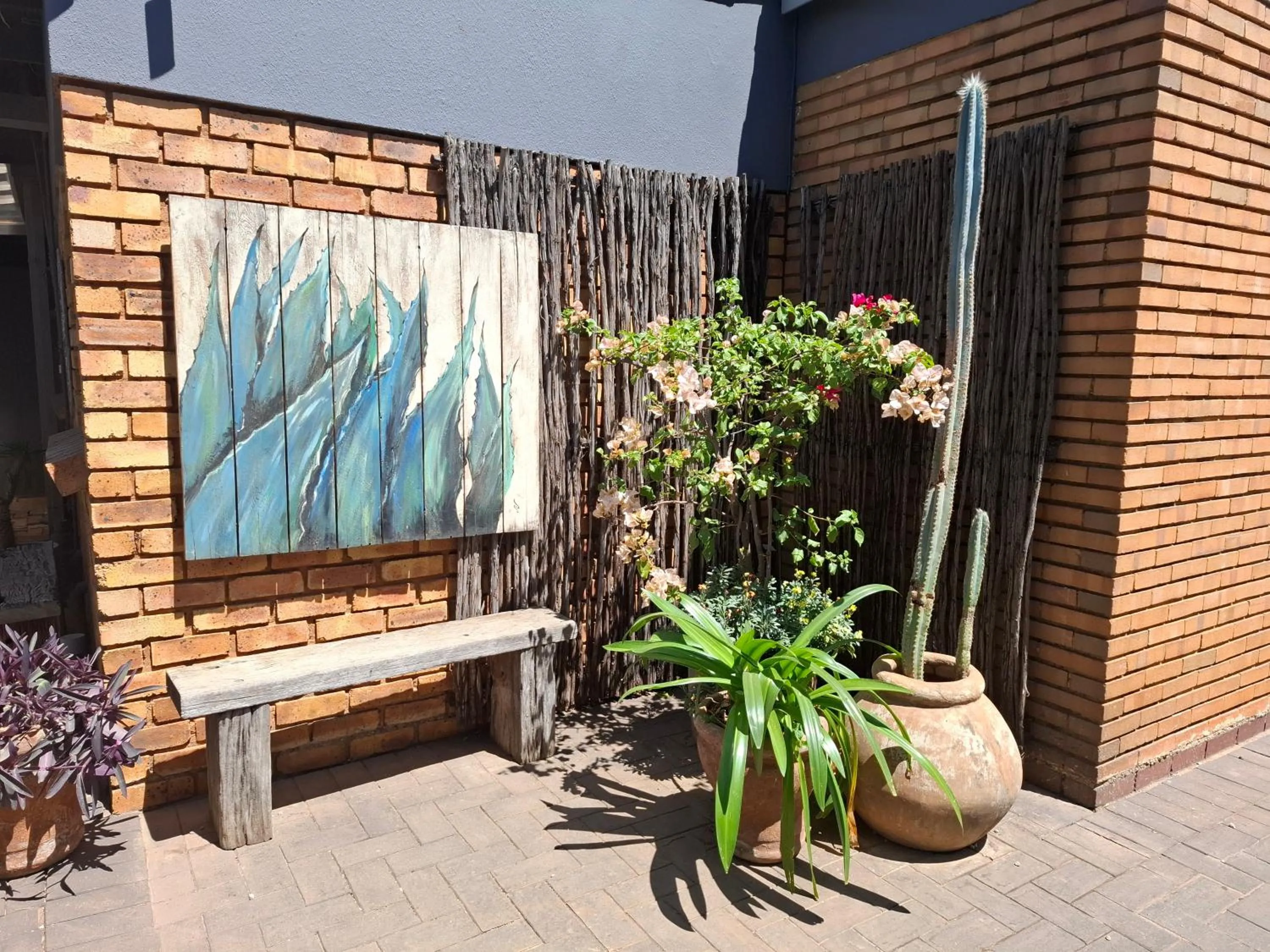 Garden view in Sunrock Guesthouse