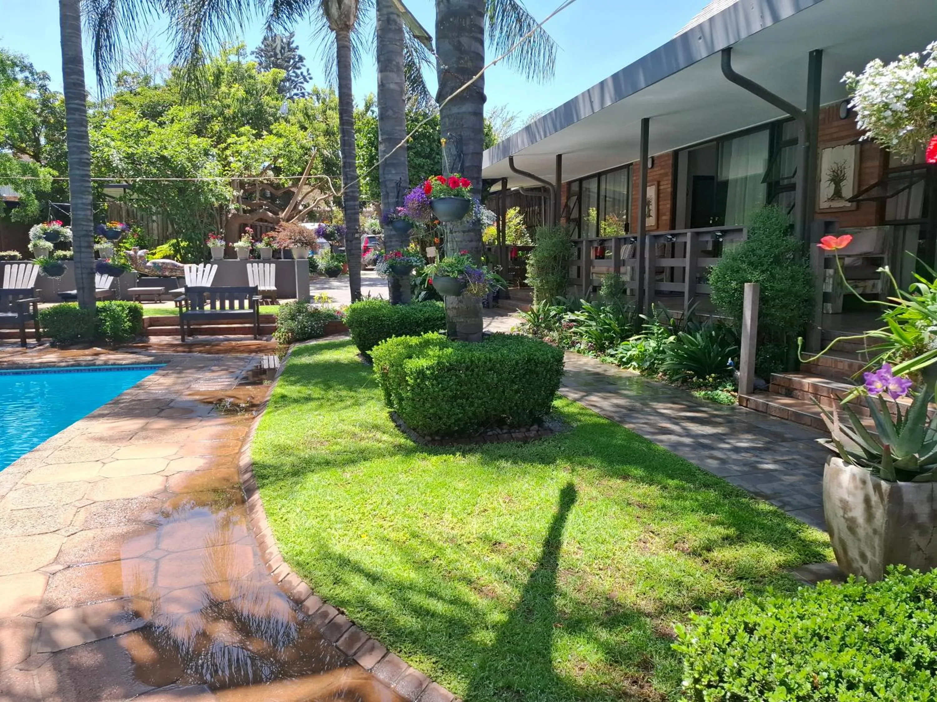 Garden view in Sunrock Guesthouse