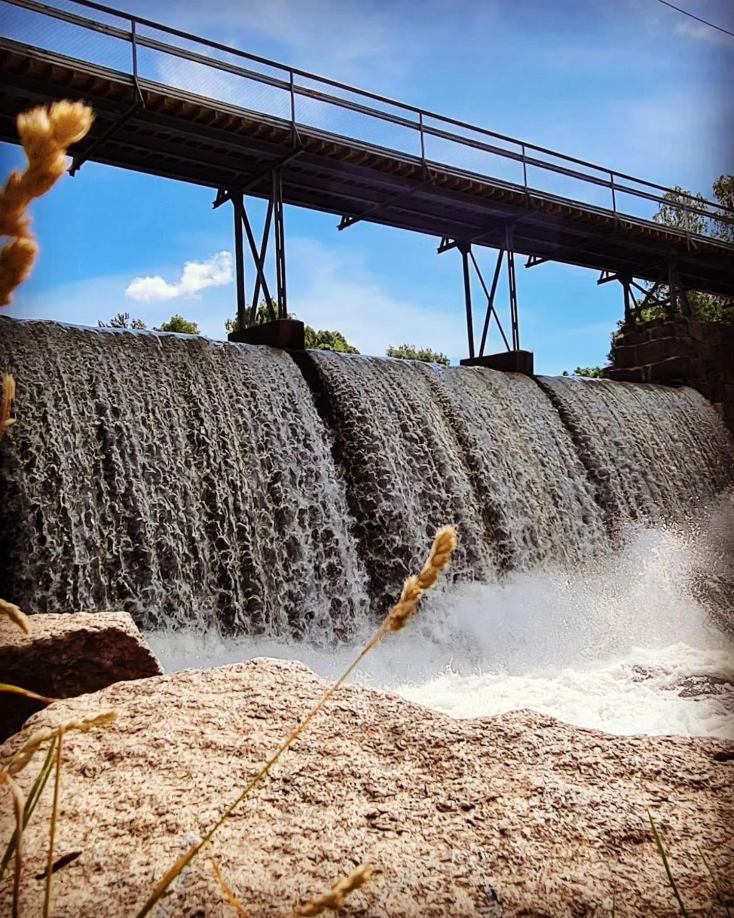 Natural landscape in Oslo Hostel Rønningen