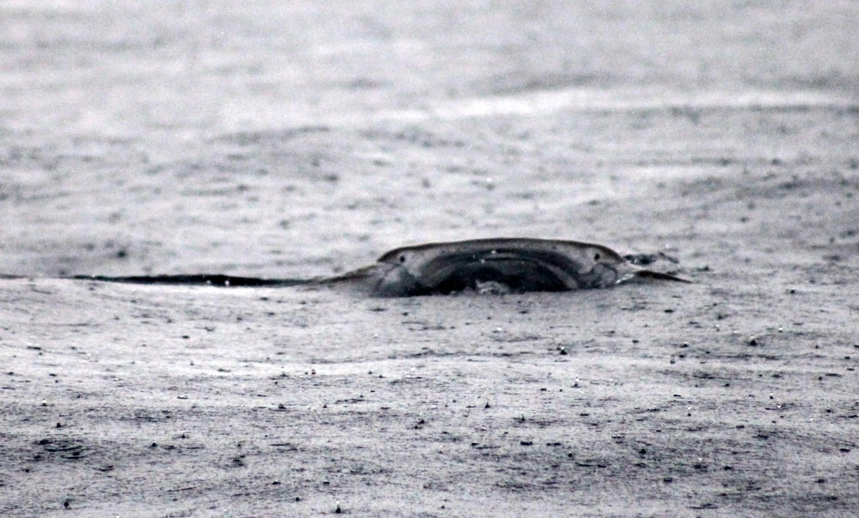 Beach in Boa Hill Surf House