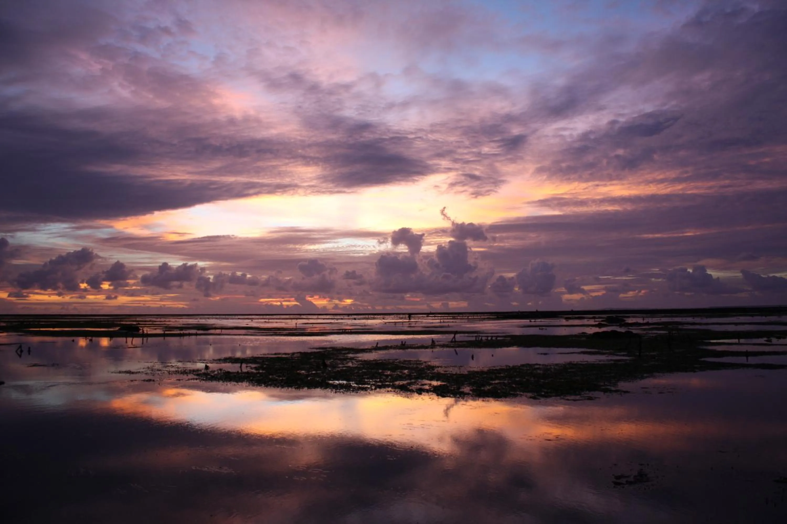 Beach in Boa Hill Surf House