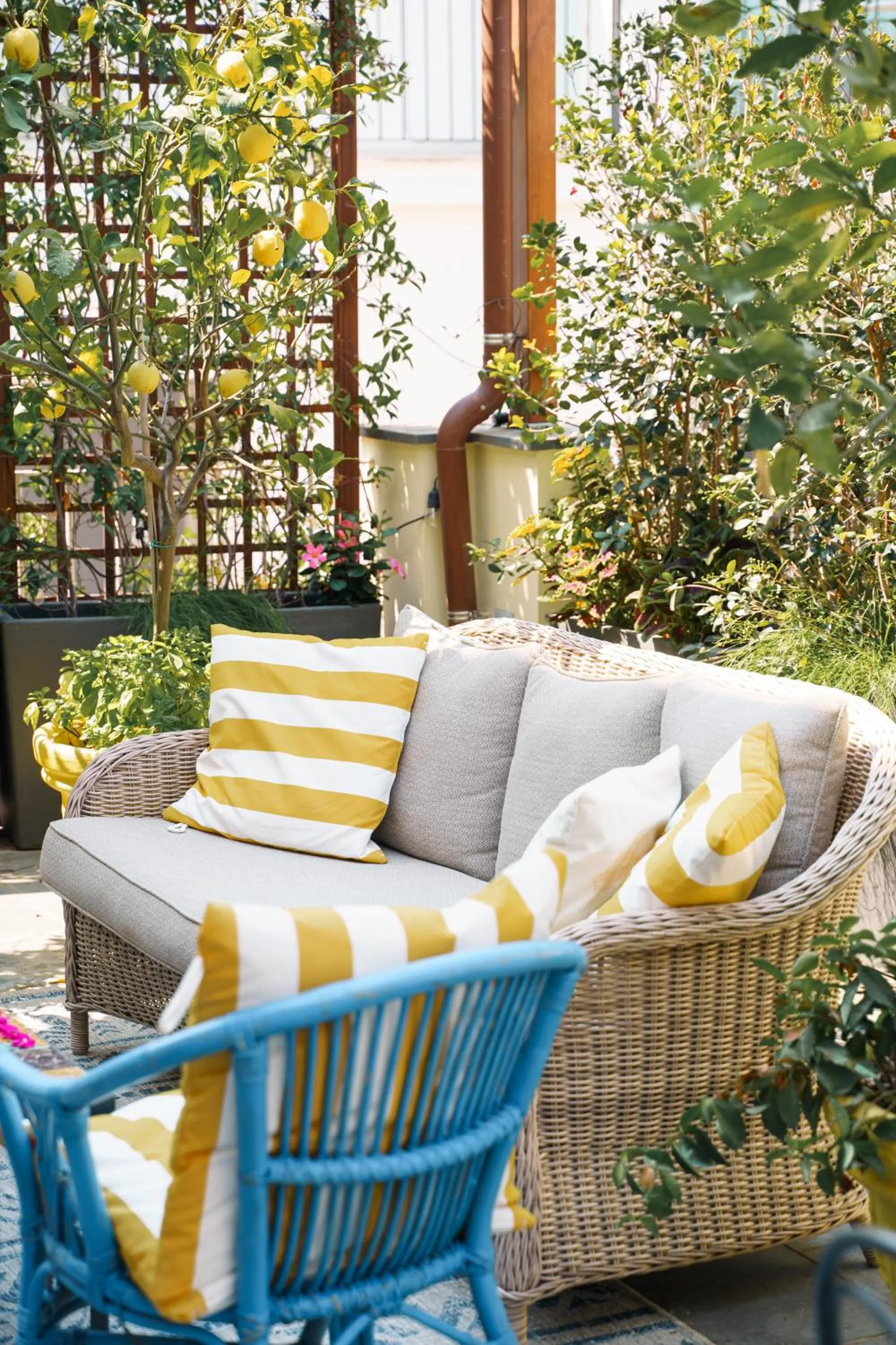 Patio in Accademia 39