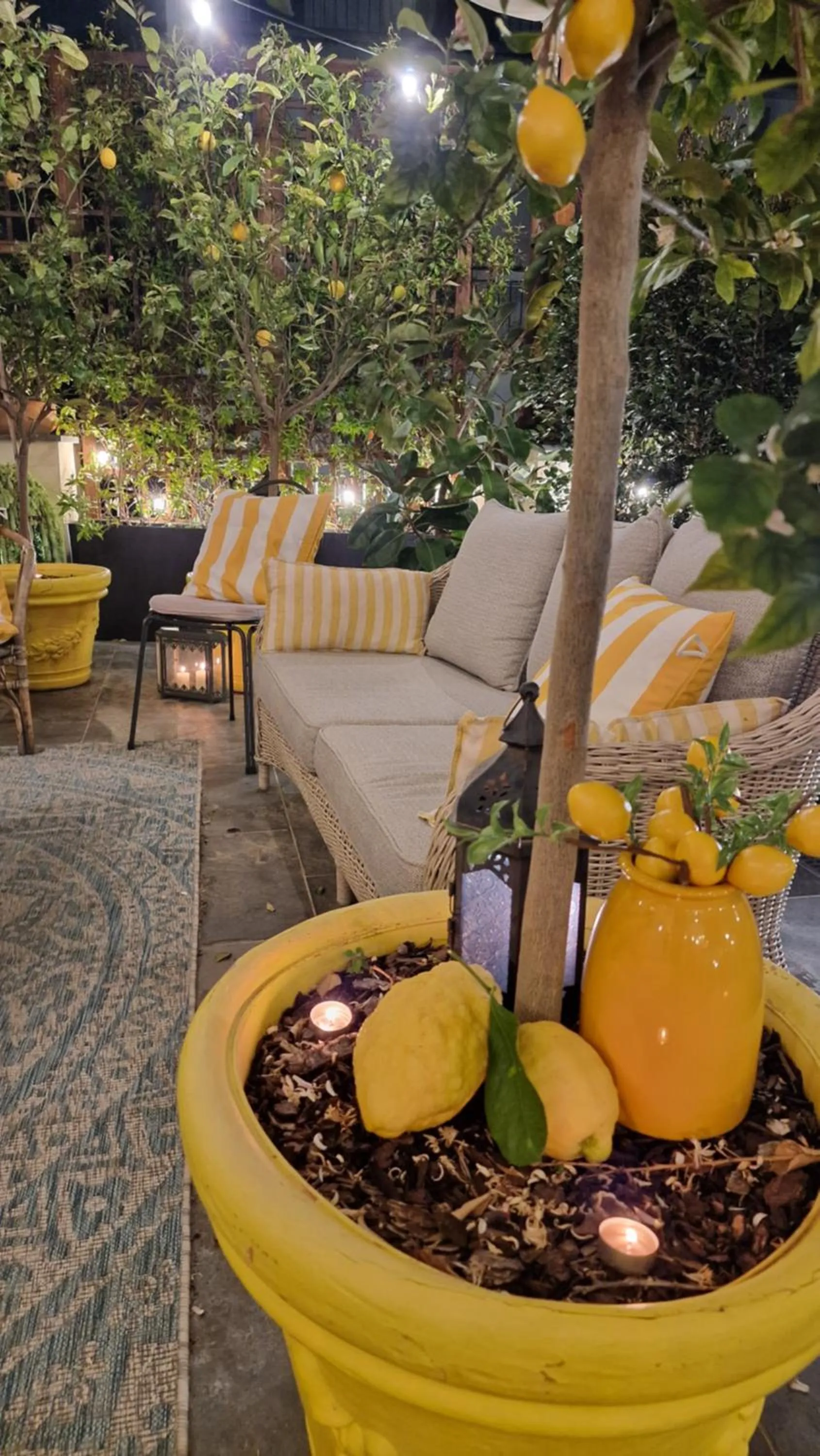 Balcony/Terrace in Accademia 39