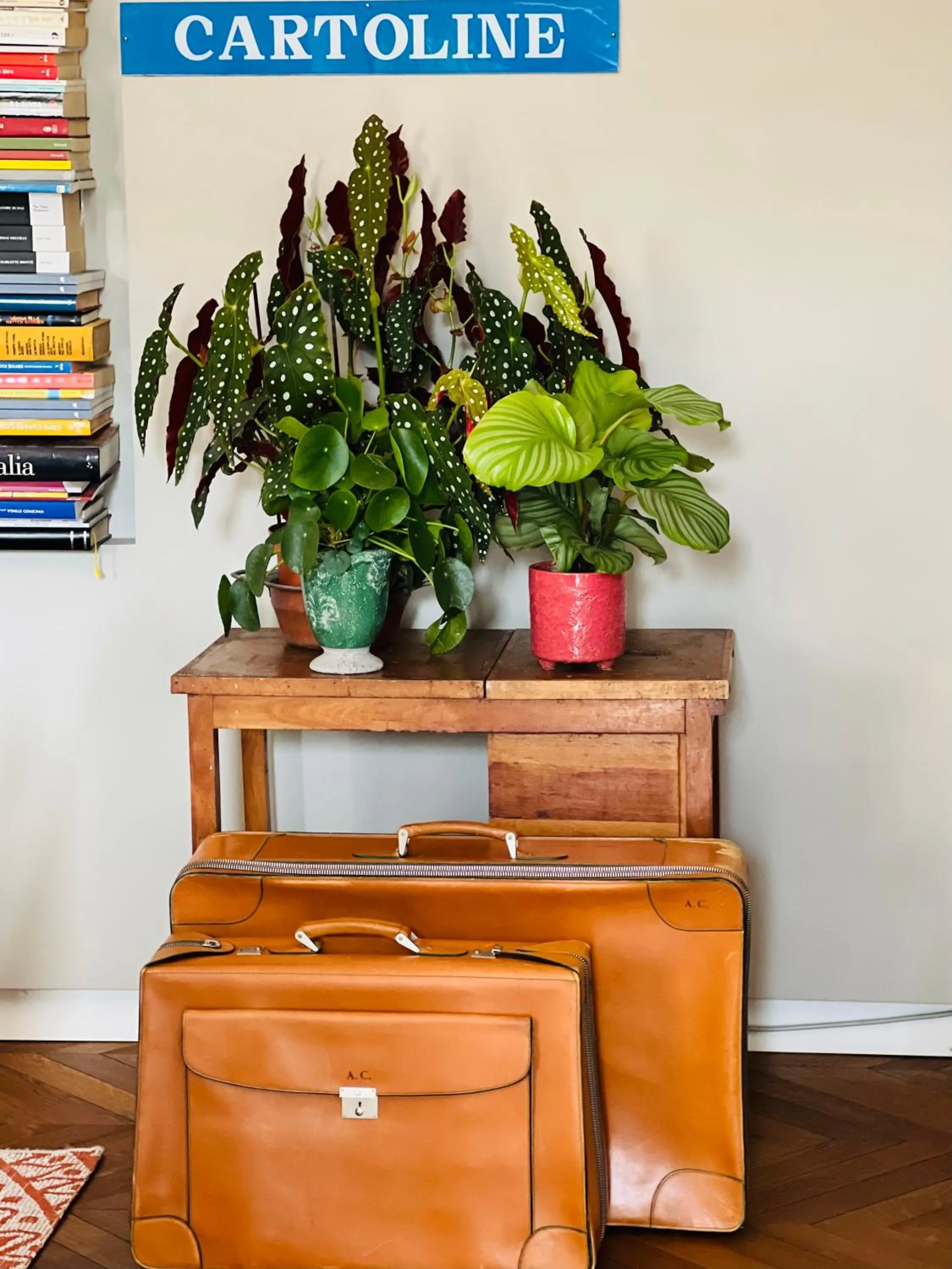 Communal lounge/ TV room in Accademia 39