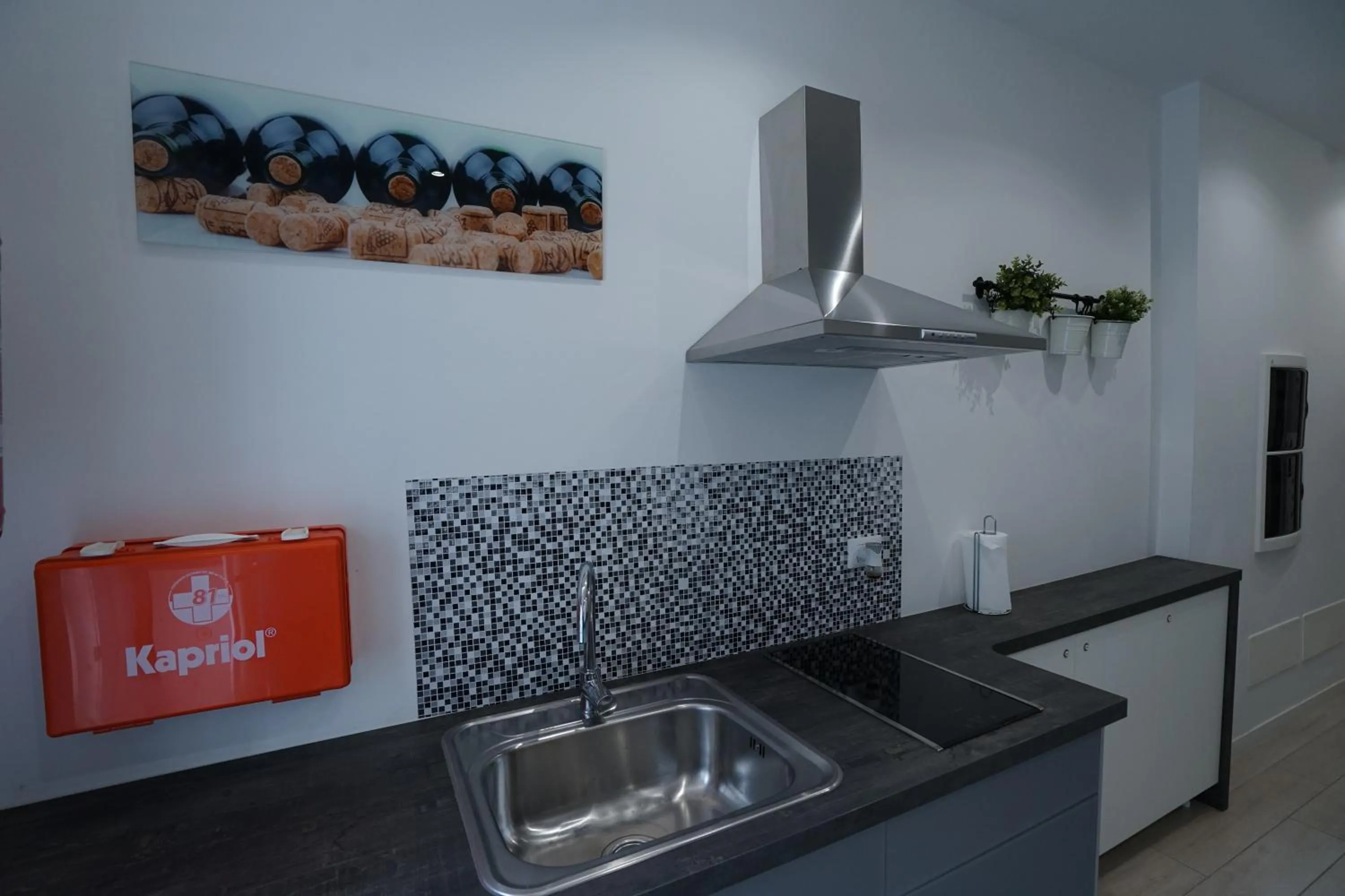 Kitchen or kitchenette in Duca's House
