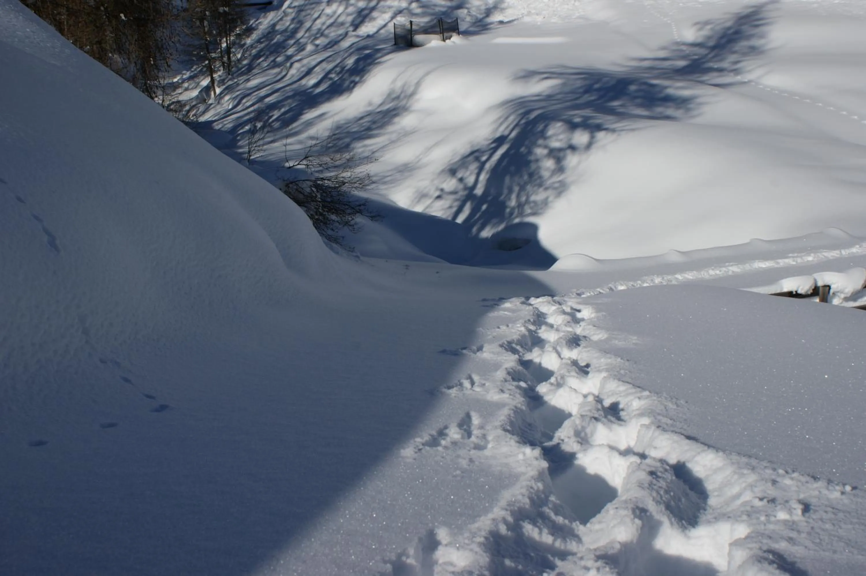 Natural landscape in Sonnenhotel Soldanella Sonneck