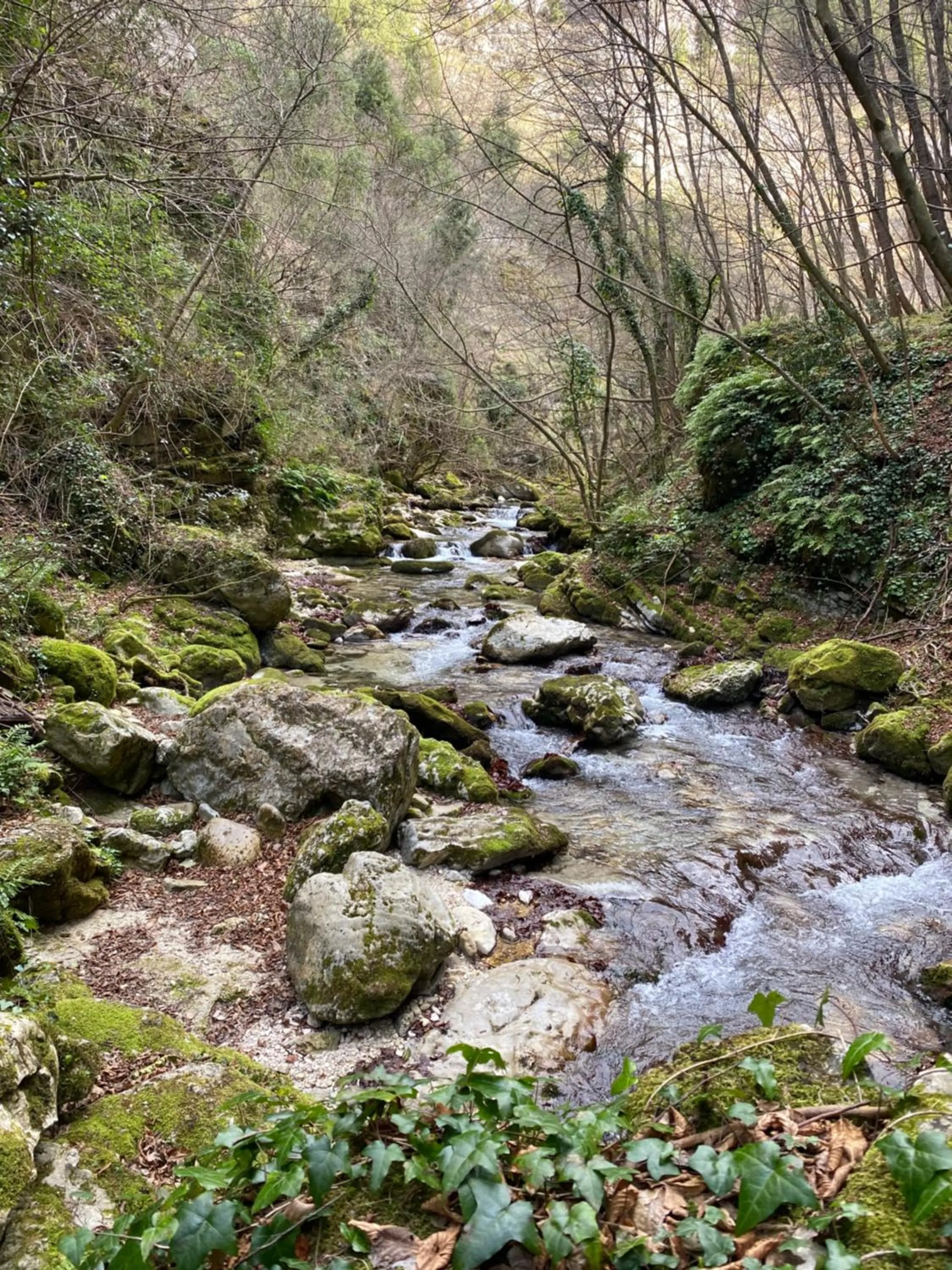 Hiking in Palazzo De Fabritiis