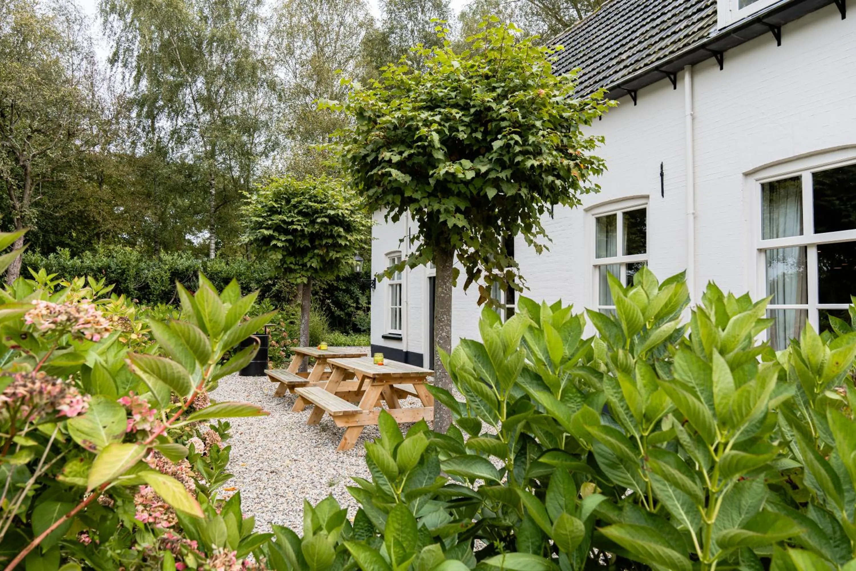 B&B Het Wellnest
