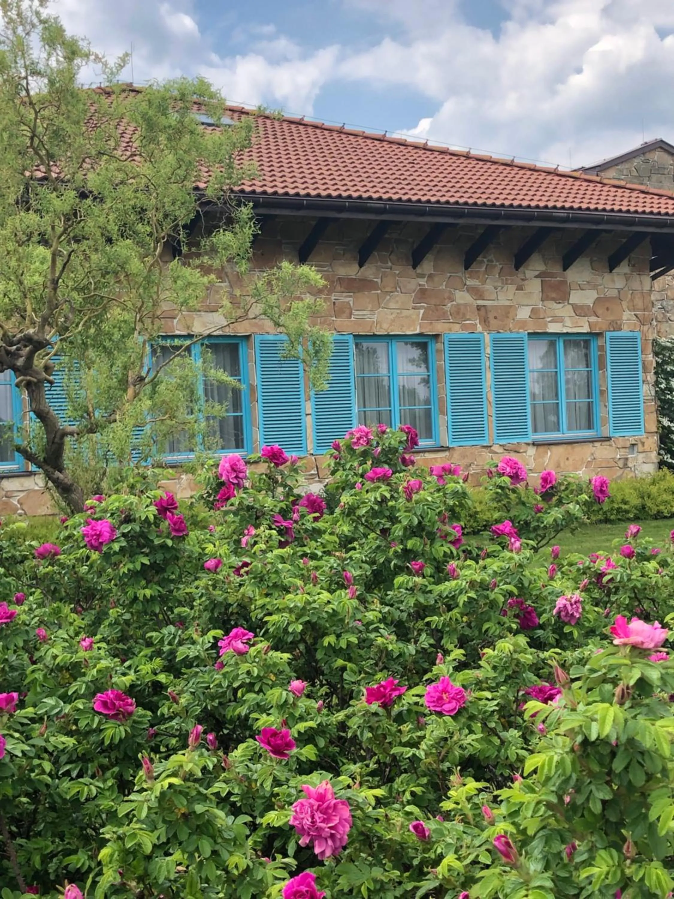 Property building in Hotel Cyprus