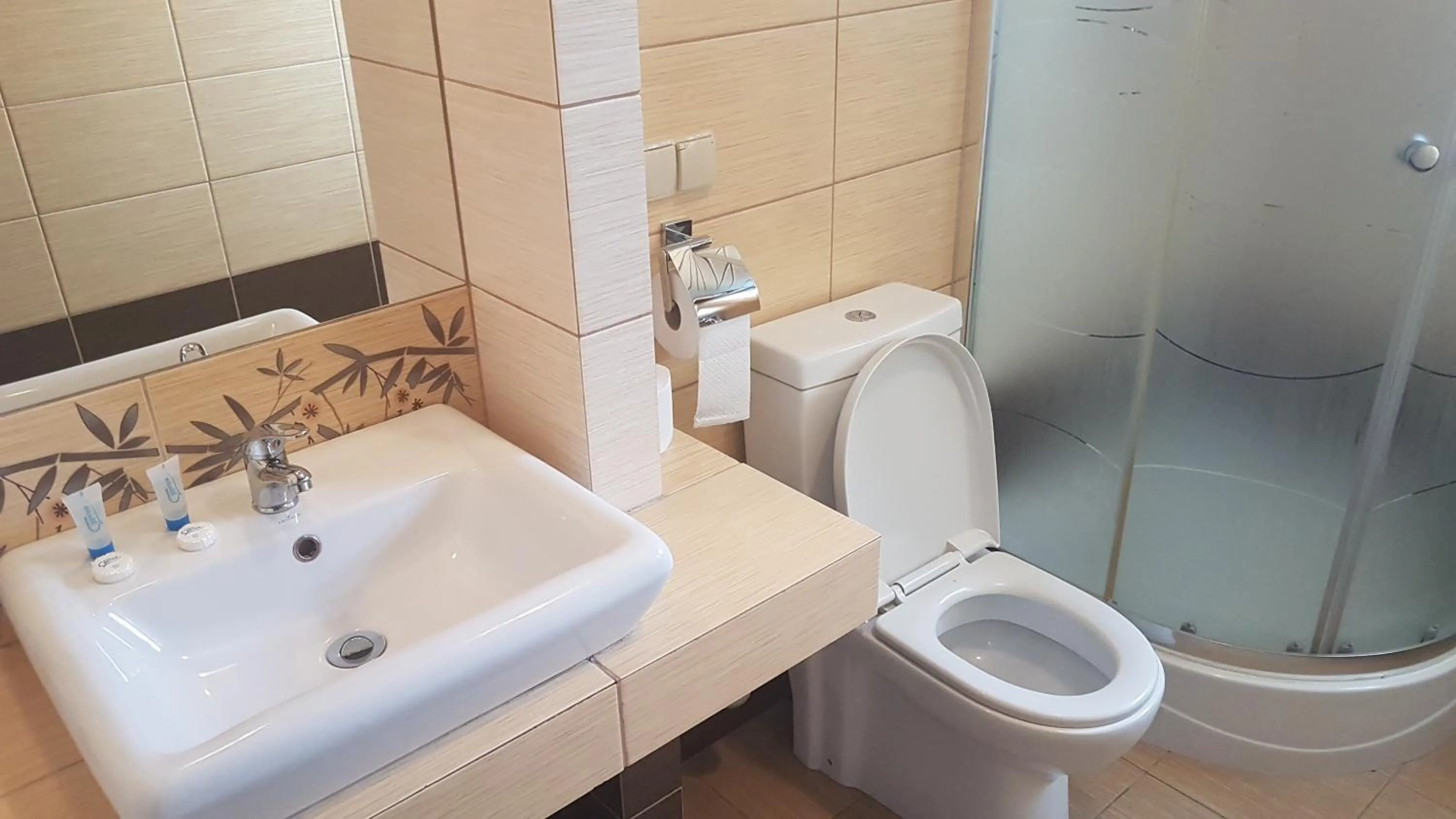 Shower in Hotel Cyprus