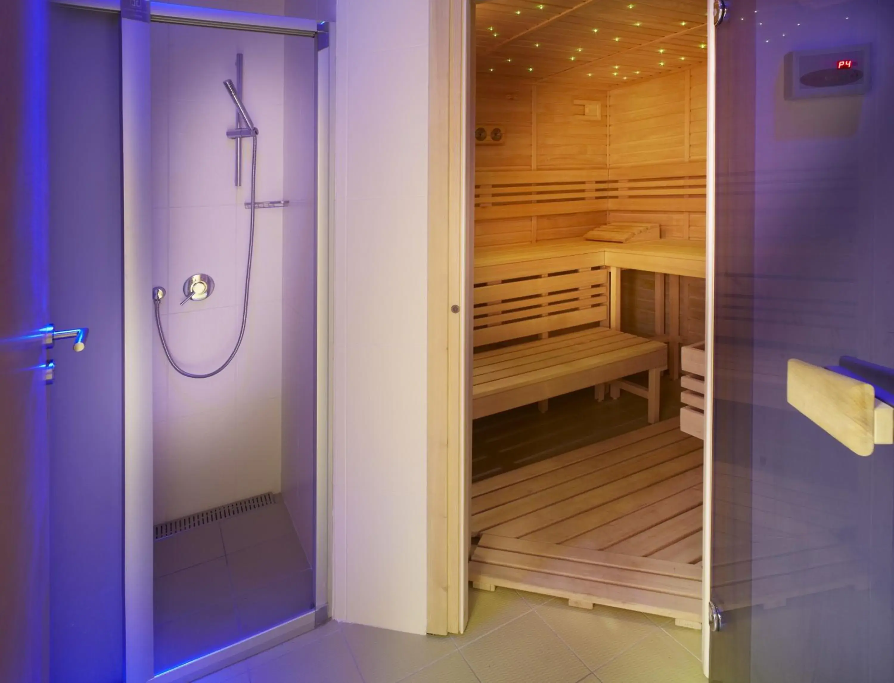 Sauna in The Hotel Fitzgerald