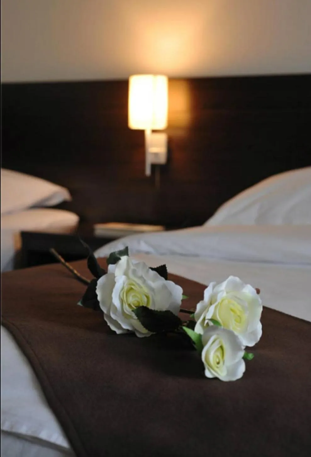 Lucic Rooms & Suites