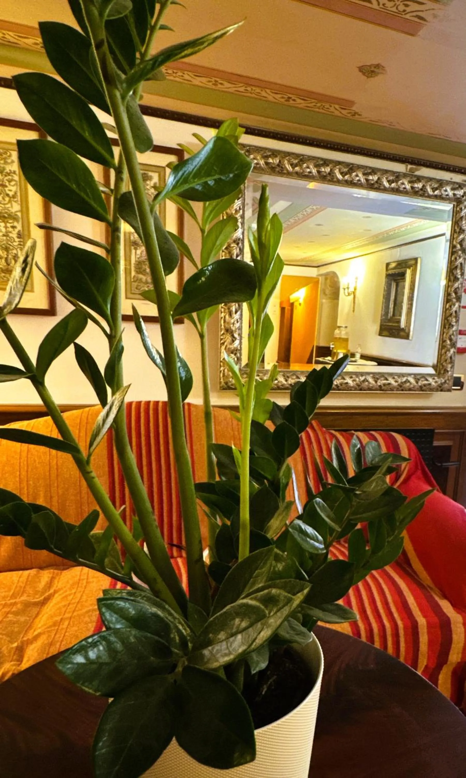 Lobby or reception in Hotel Corte Contarina