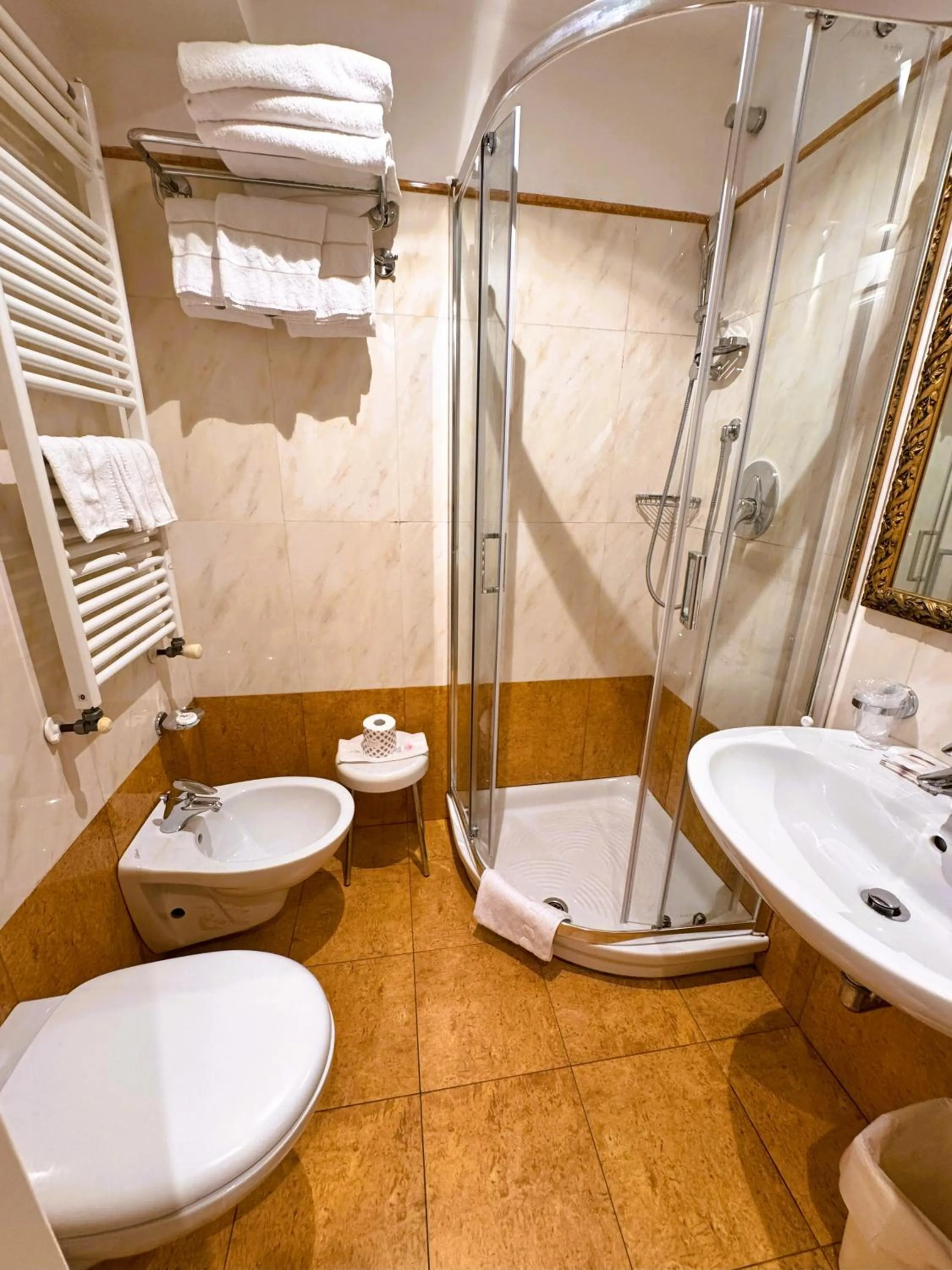 Shower in Hotel Corte Contarina