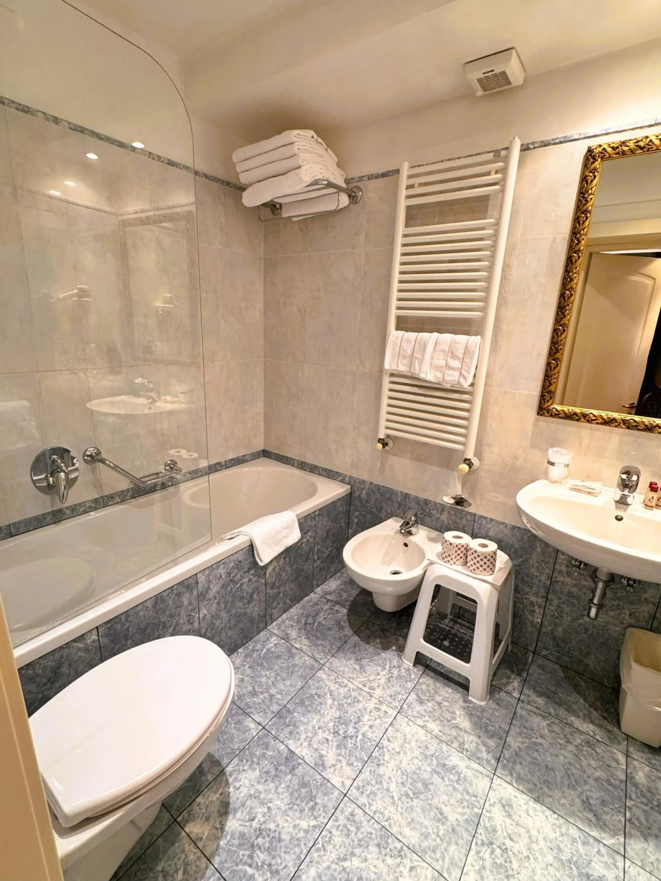 Toilet in Hotel Corte Contarina